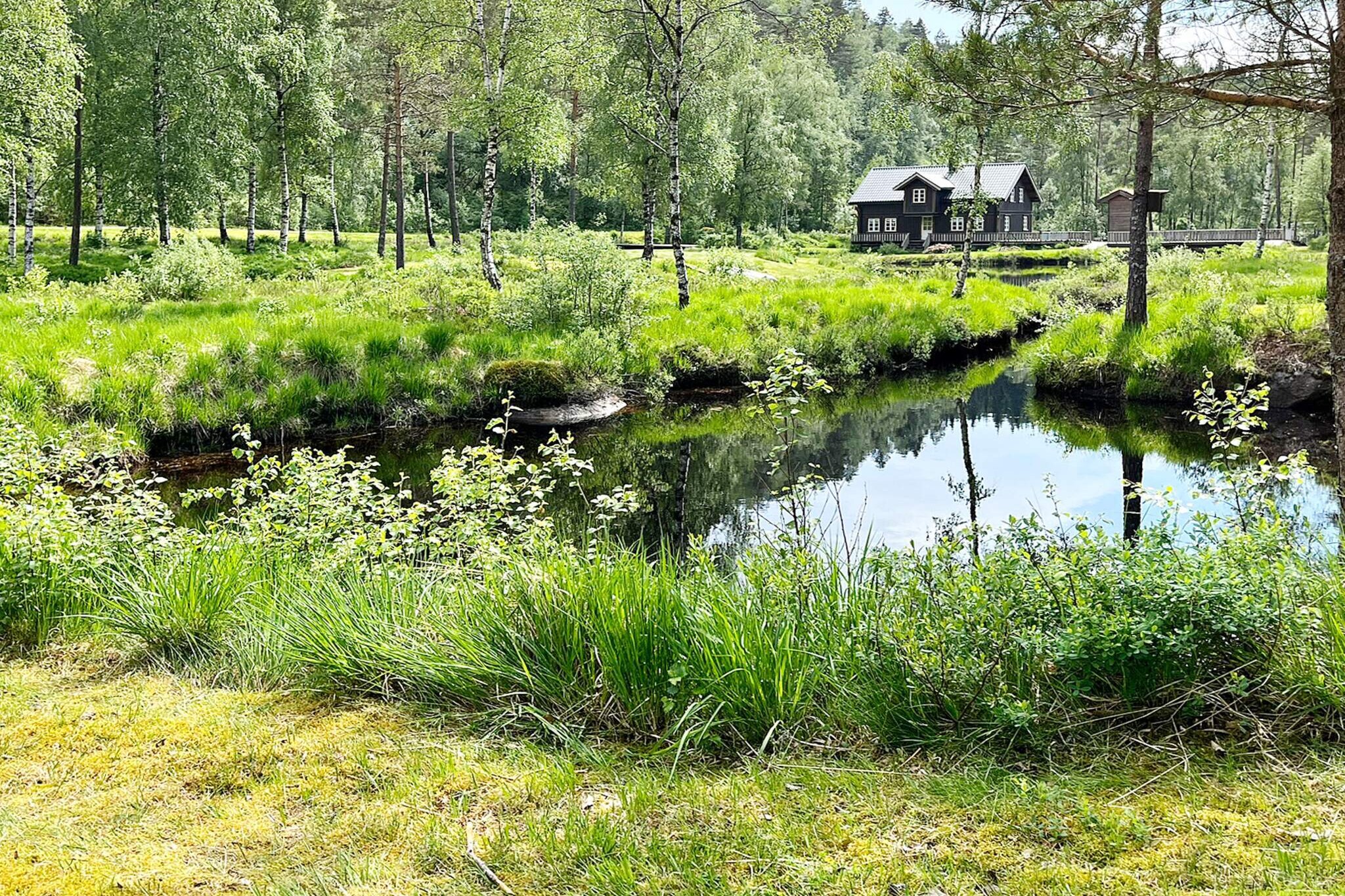 10 Personen vakantie huis in KVINESDAL - Buitenlucht
