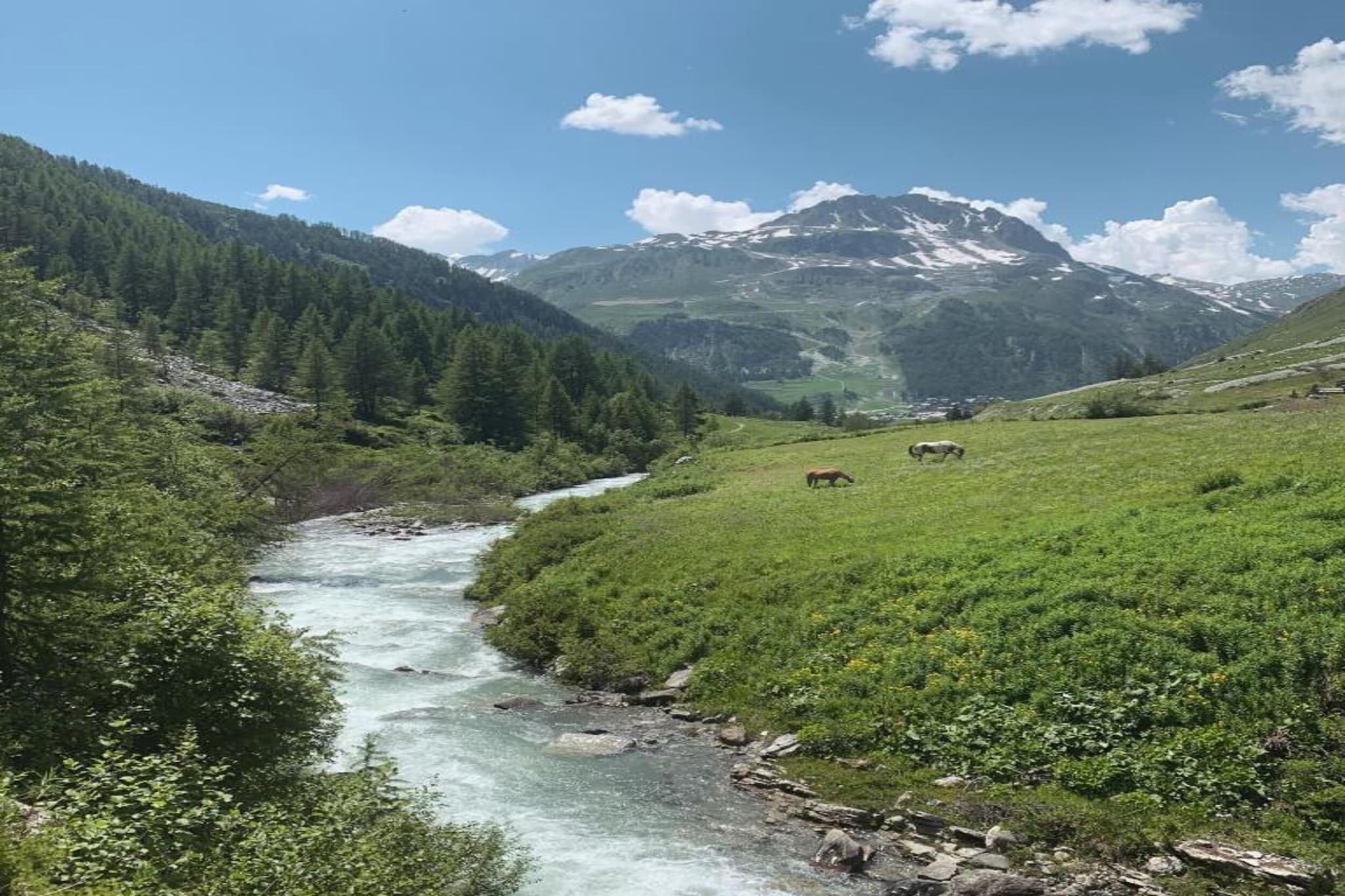 Chalet Les Sources de l'Isère-Zones d'été à 20 km