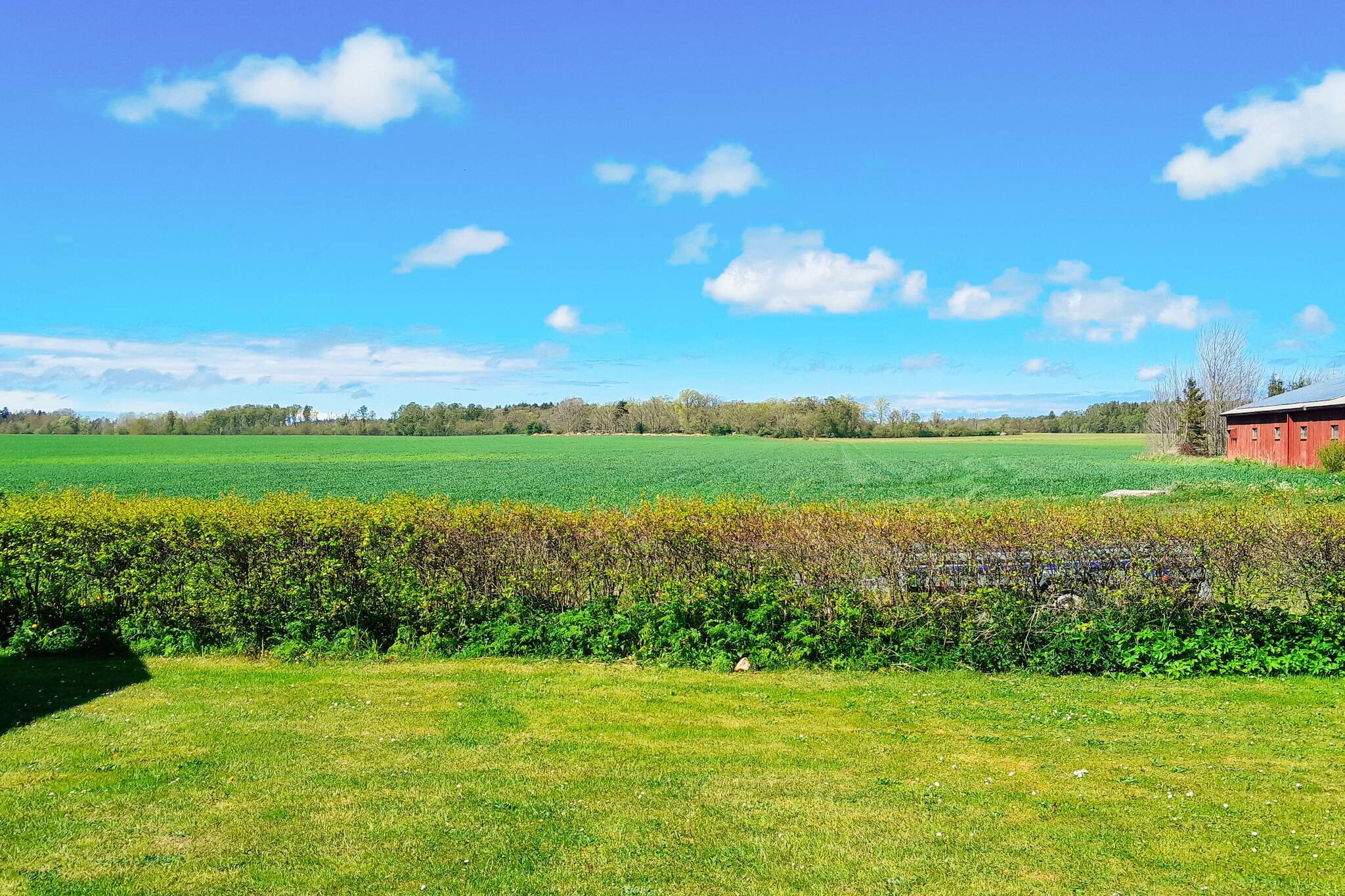 4 sterren vakantie huis in GOTLANDS TOFTA-Buitenlucht