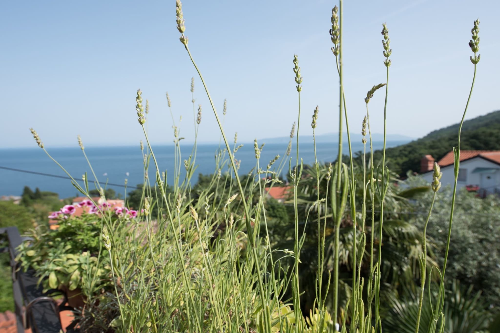 Stylish Lovran Sea View Apartments - One Bedroom Apartment with Terrace and Sea View