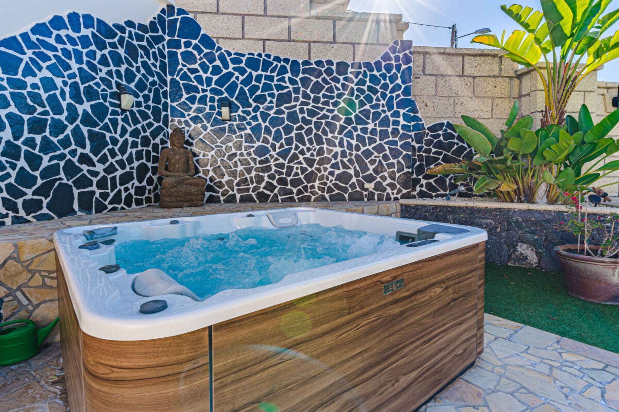 377942-Wellness