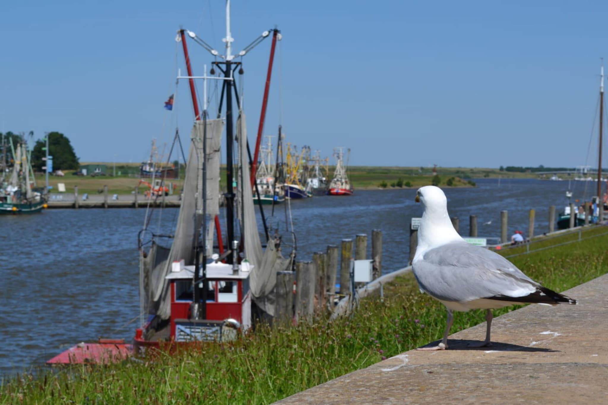 184619-Gebieden zomer 5km
