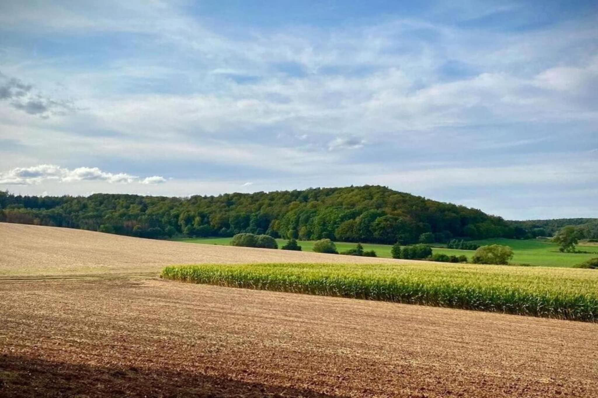 151480-Gebieden zomer 20km