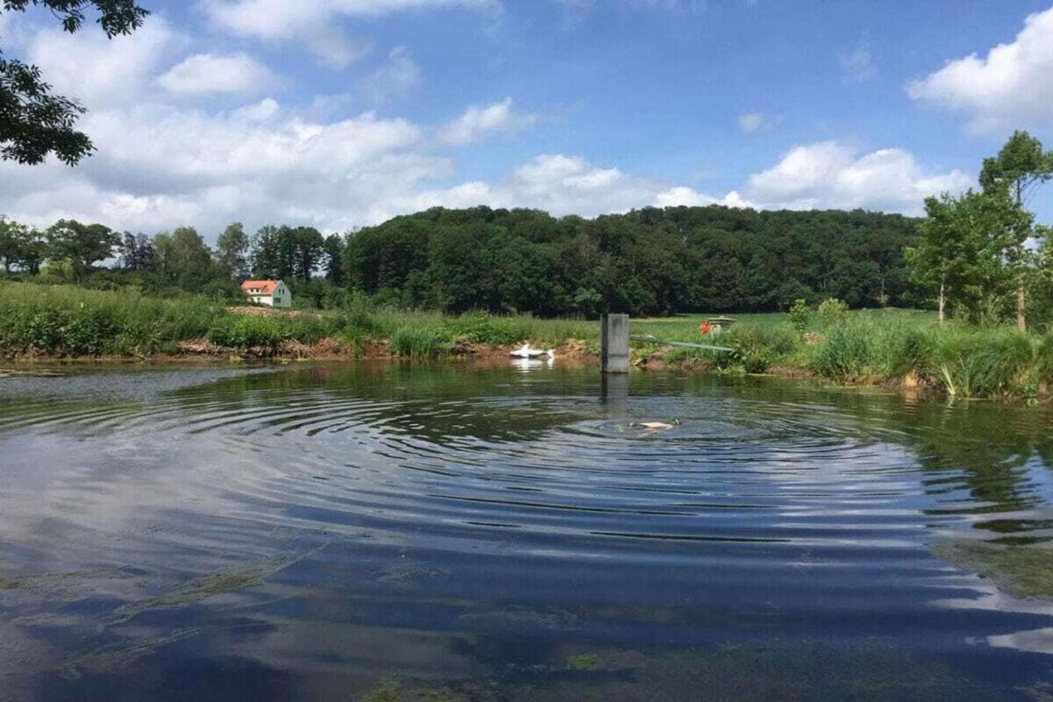 151480-Gebieden zomer 20km
