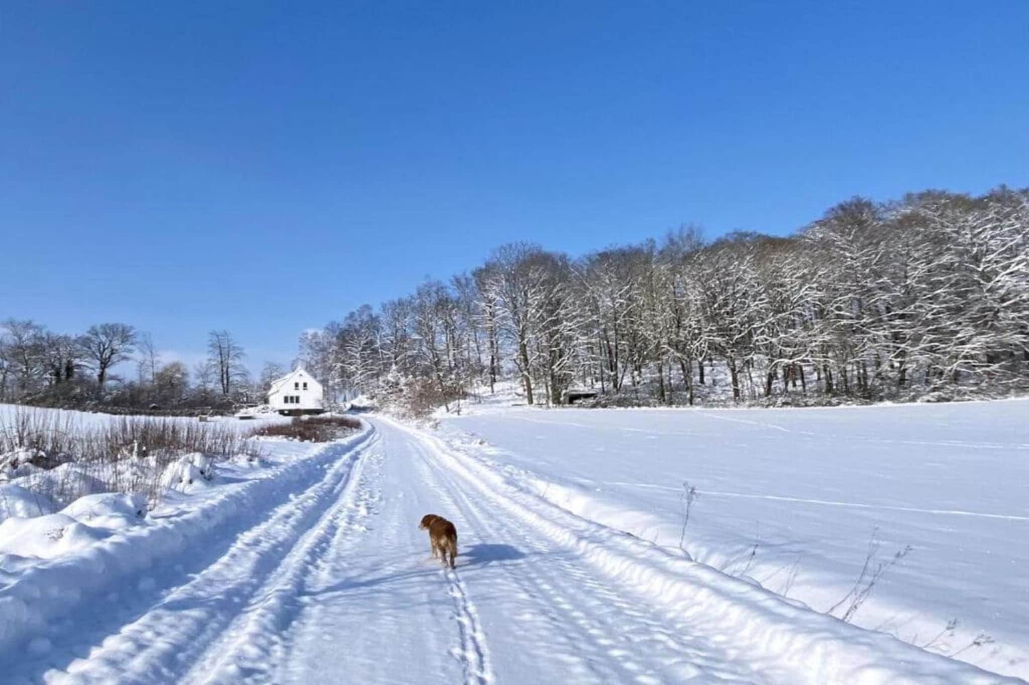151480-Gebied winter 20km