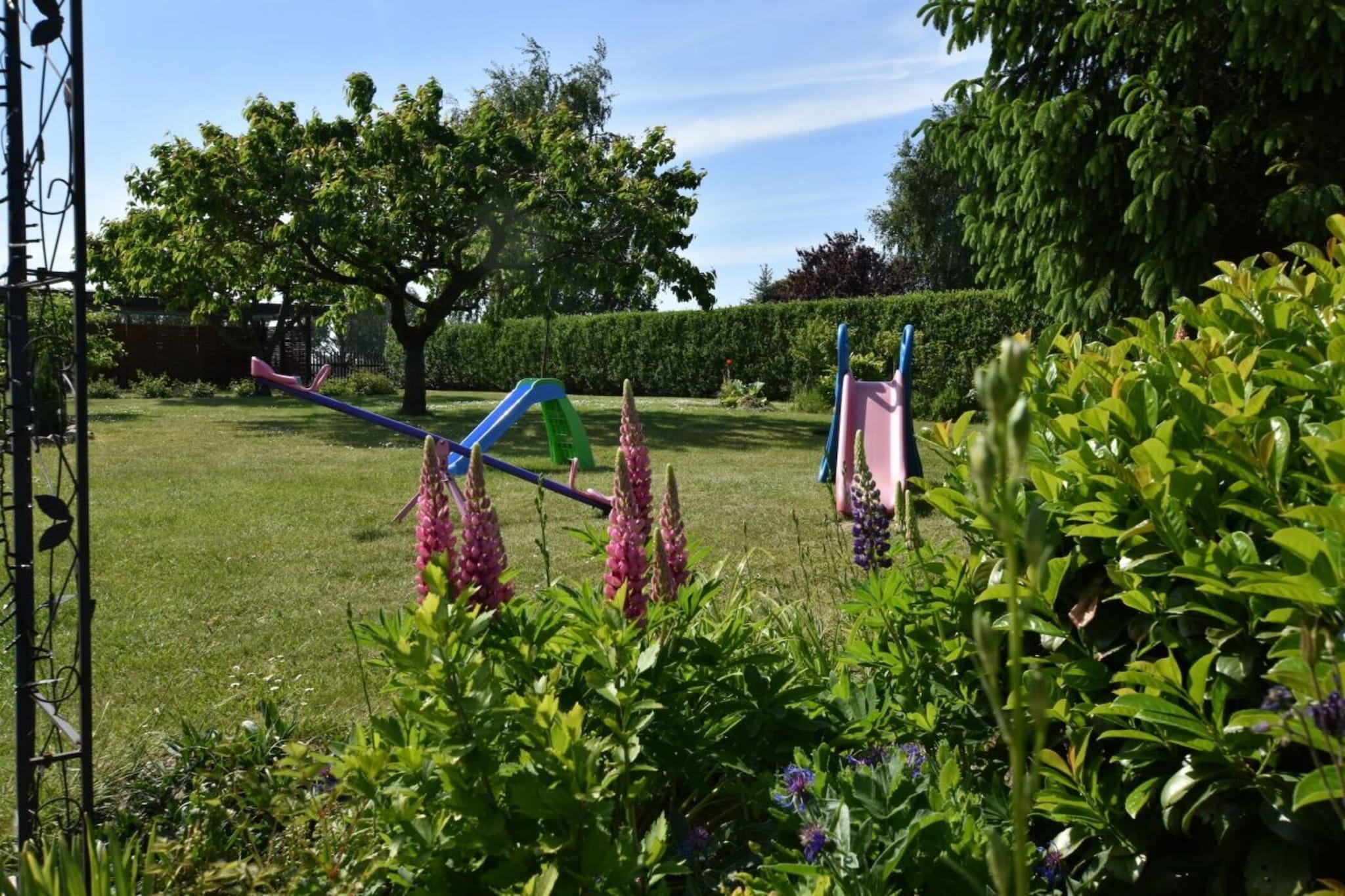 218716-Gardens summer