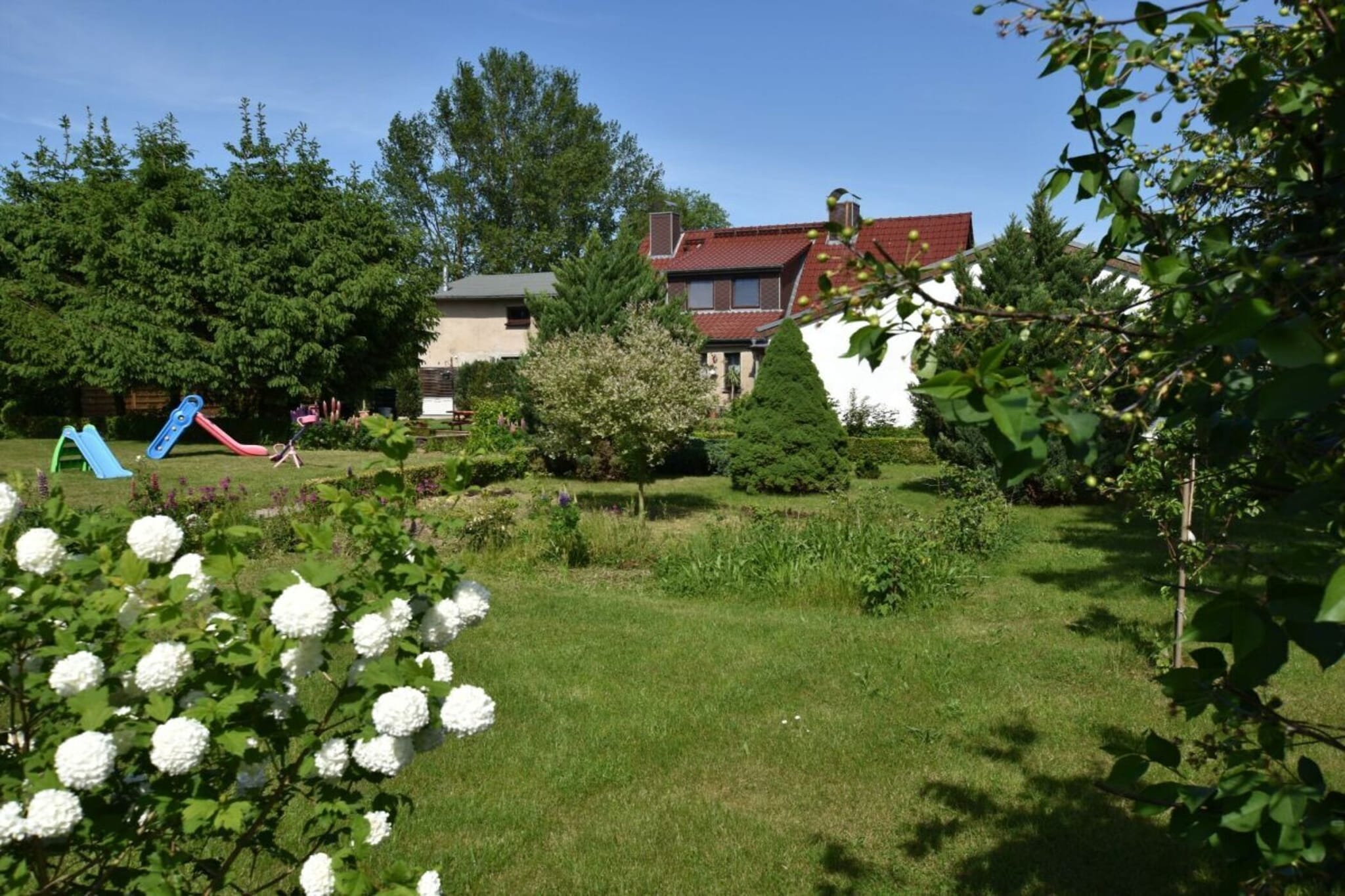 218716-Areas summer 1km