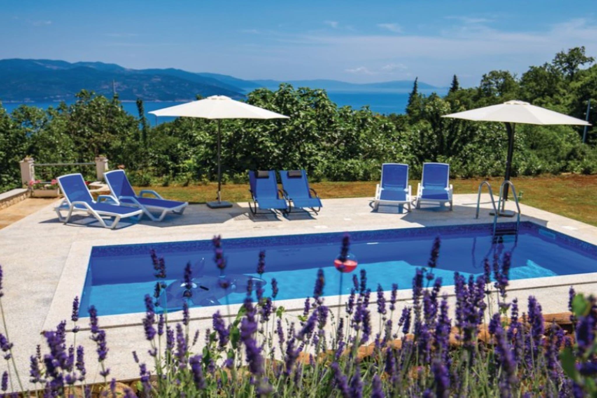 Charming Brsec Apartment with Shared Pool - One Bedroom Apartment with Pool-Swimming pool