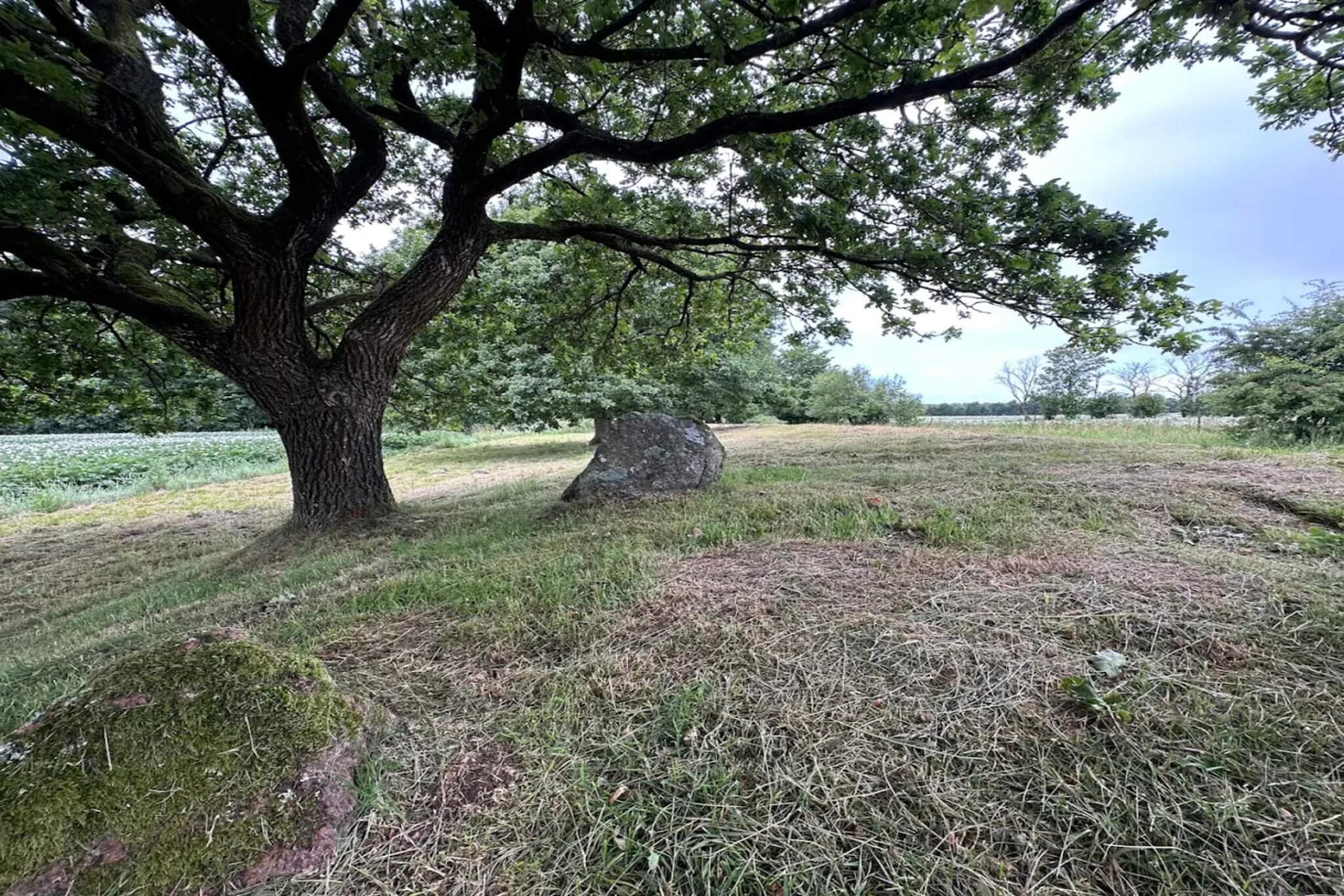Retraite charmante a Sydjylland -- By Traum Ferienwohnungen-Non étiqueté