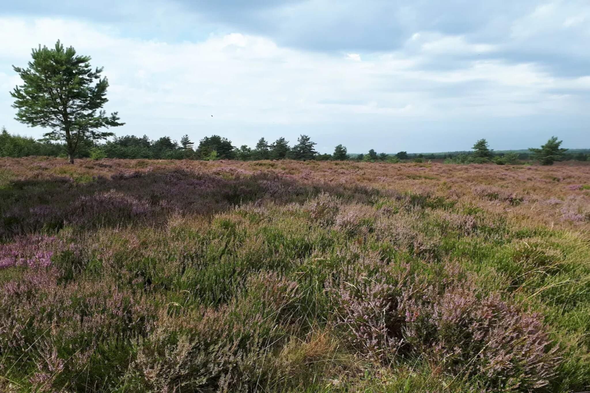 Retraite charmante a Sydjylland -- By Traum Ferienwohnungen-Non étiqueté