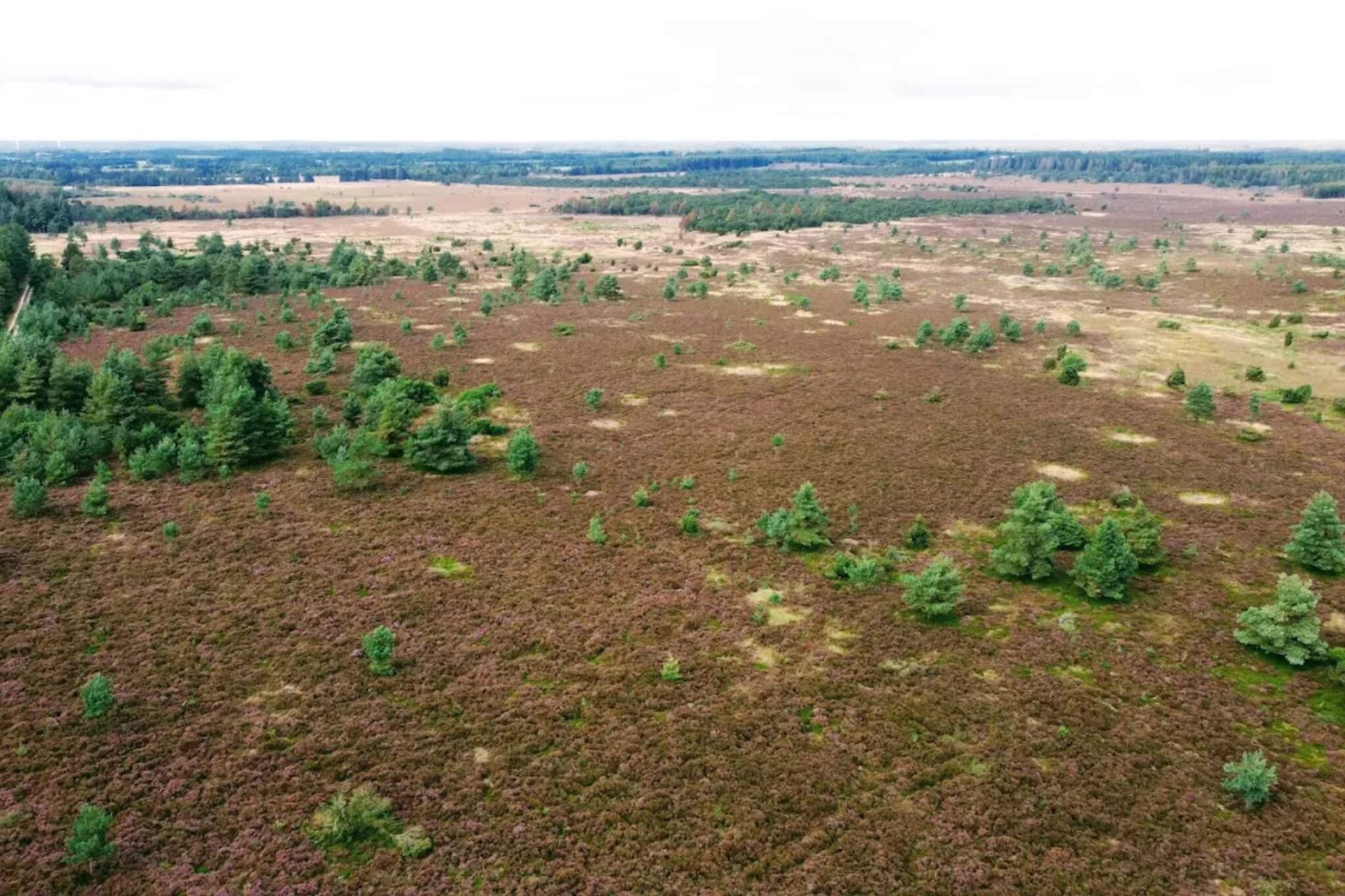 Retraite charmante a Sydjylland -- By Traum Ferienwohnungen-Non étiqueté