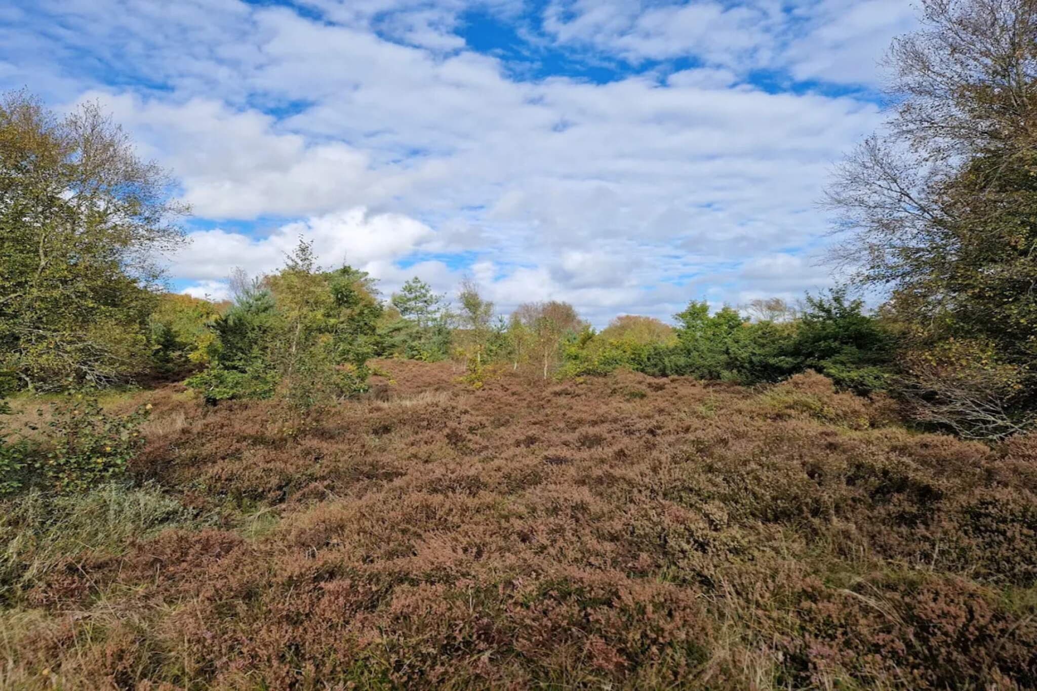 Refuge côtier unique -- By Traum Ferienwohnungen-Vue sur l'eau