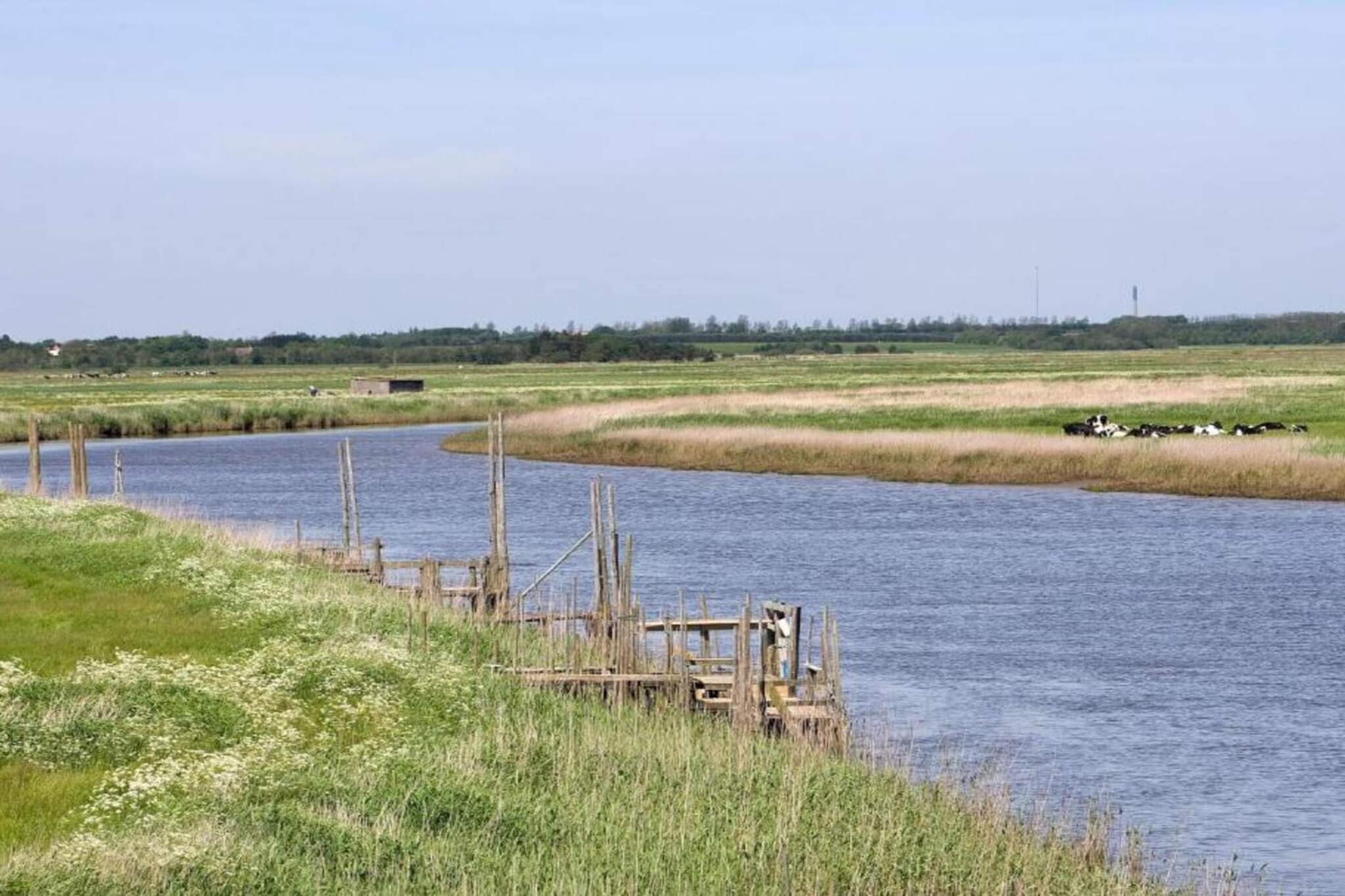 6 Personen vakantie huis in Ringkøbing-Waterzicht