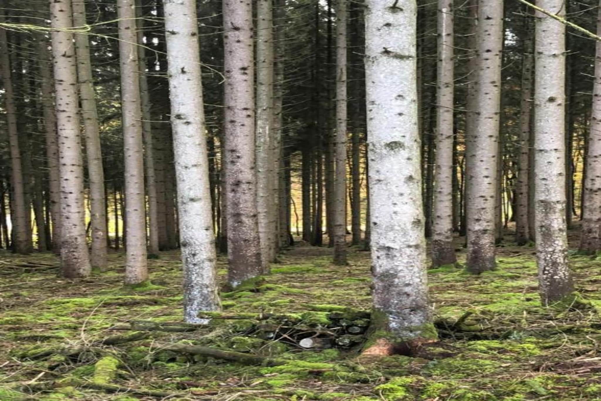 Les Trois Feuilles-Gebieden zomer 20km