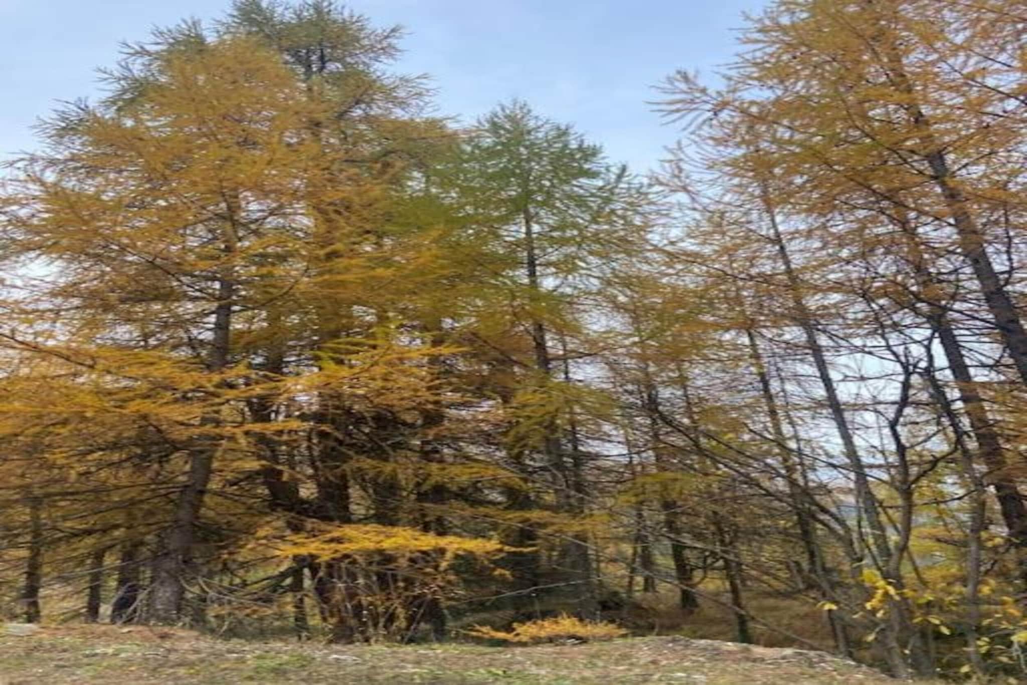 Les Trois Feuilles-Gebieden zomer 20km
