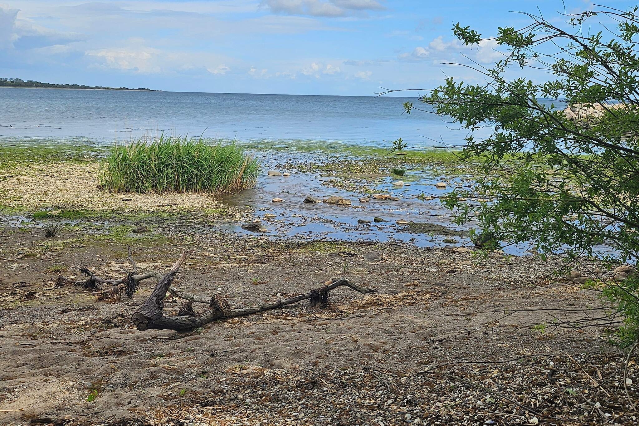 5 Personen vakantie huis in Aabenraa-By Traum-Waterzicht