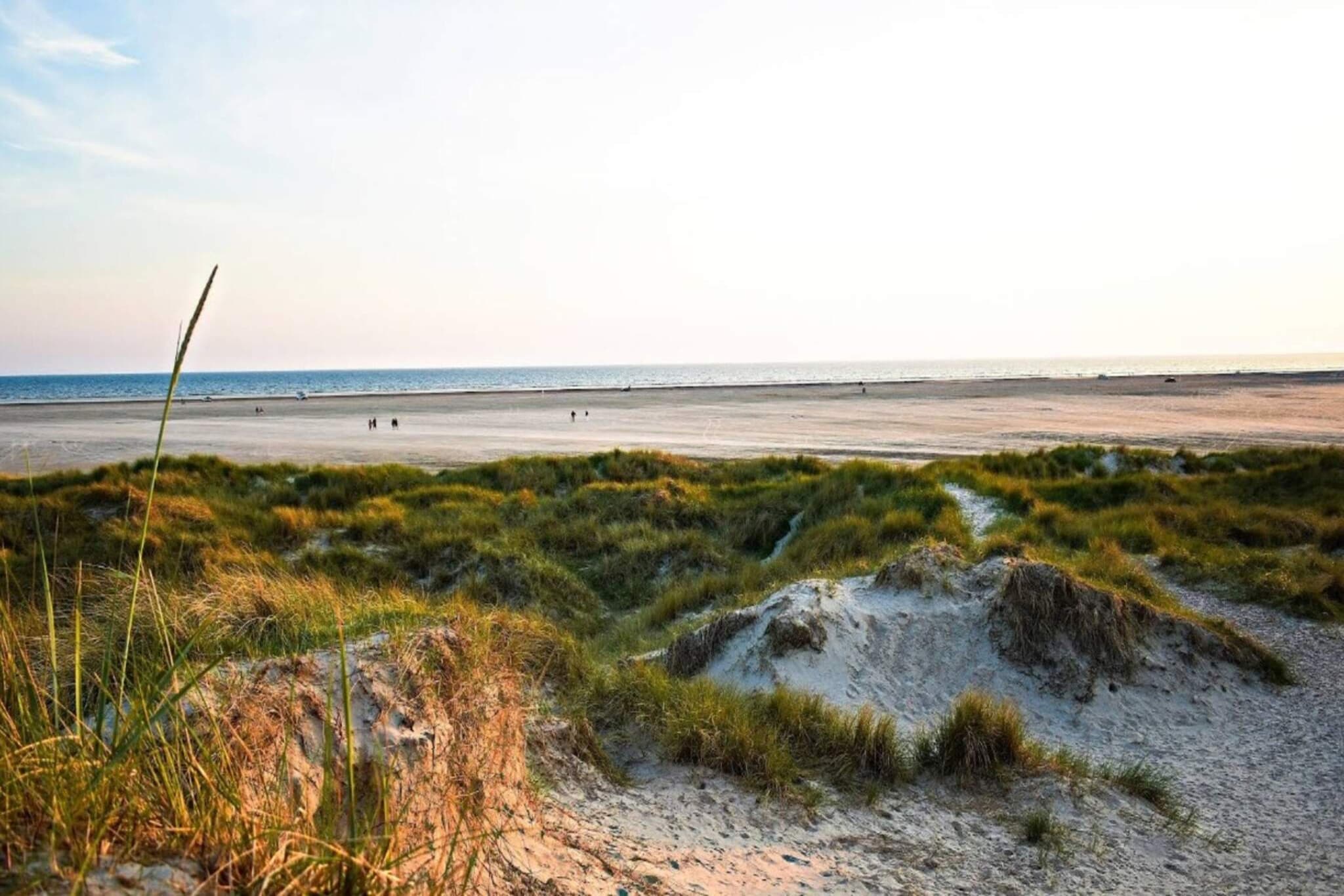 Maison de vacances pour 2 a Fanø-Vue sur l'eau