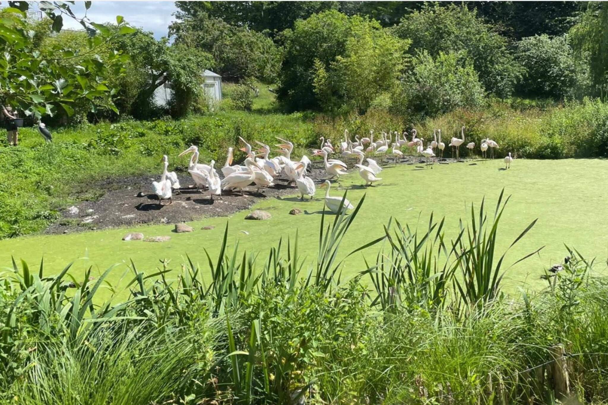 7 person holiday home in Ebeltoft-By Traum