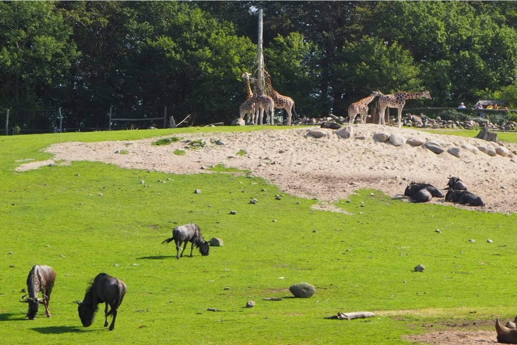 7 person holiday home in Ebeltoft-By Traum