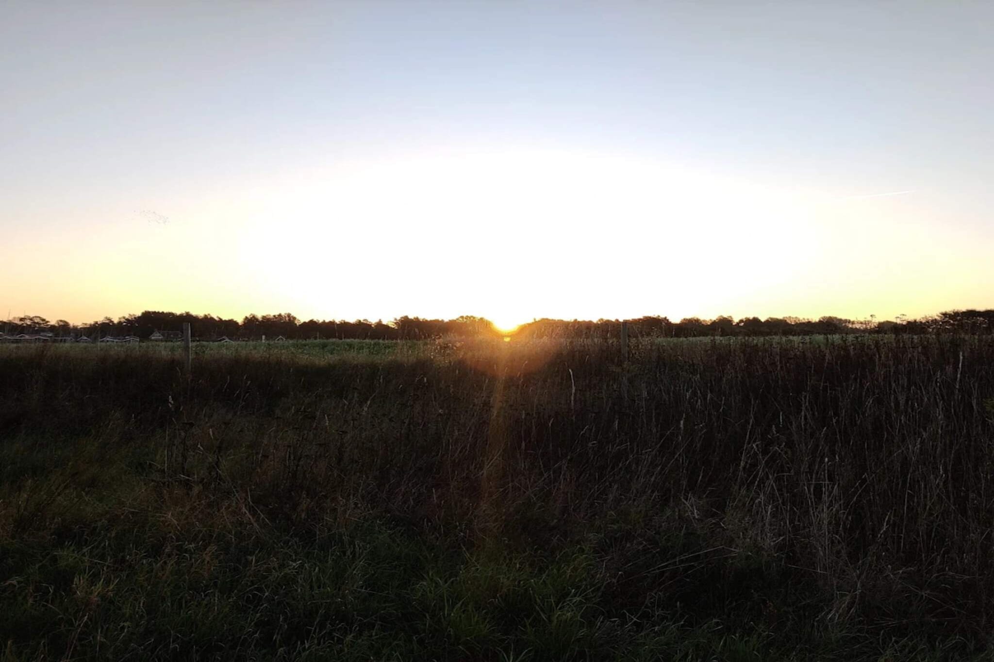 4 star holiday home in Millinge