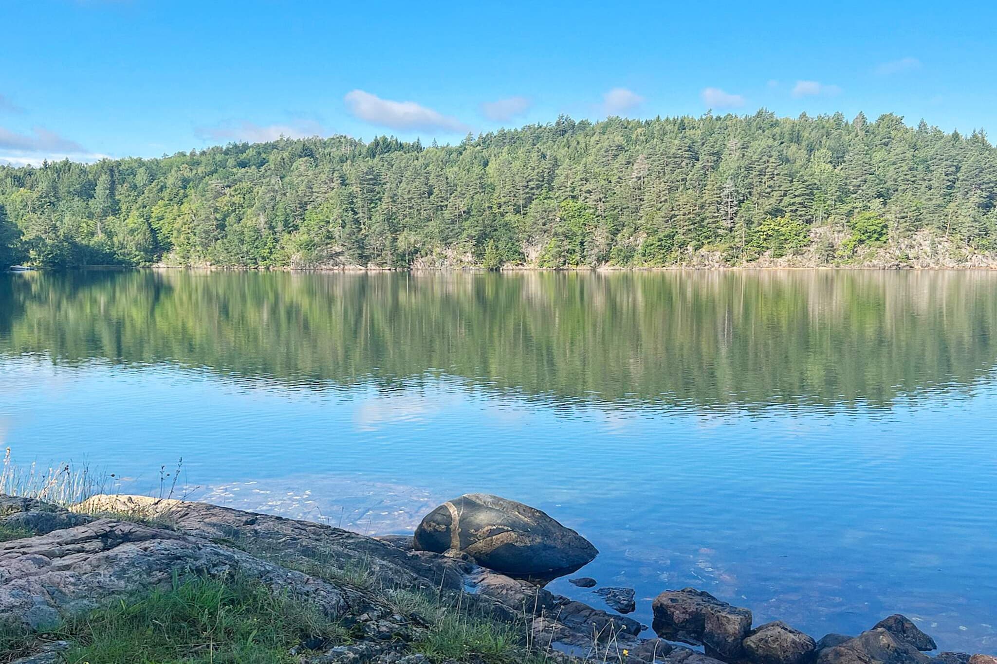 Water View