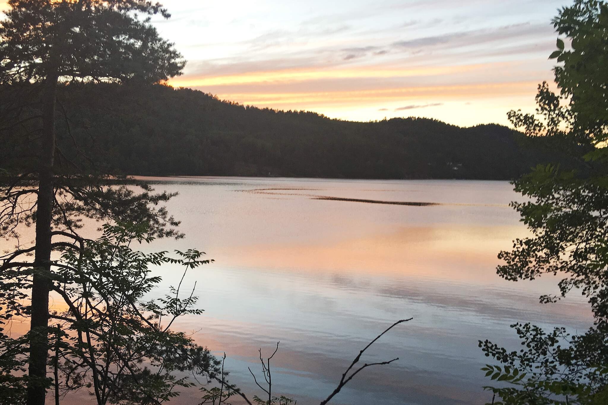 Water View