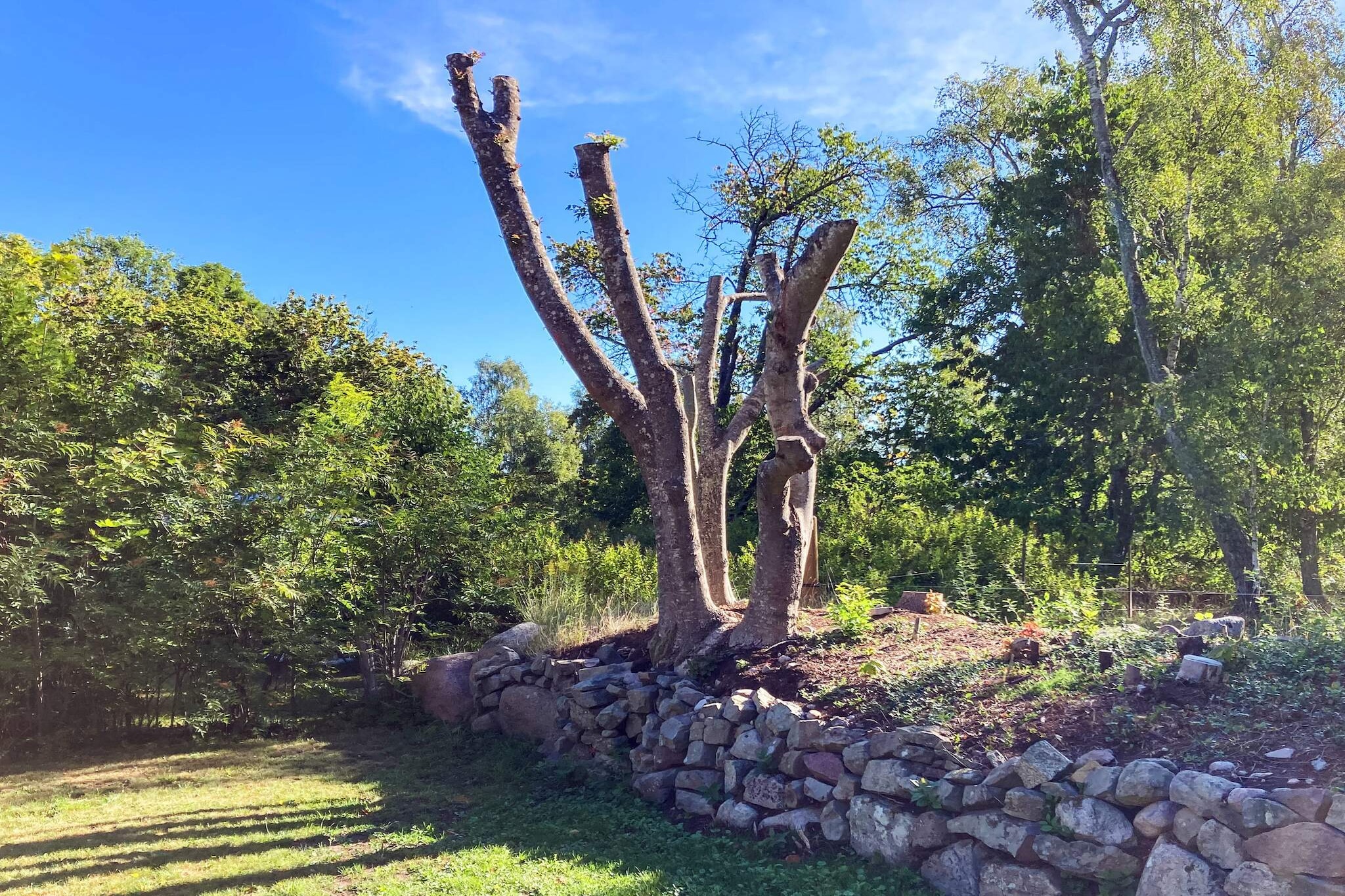 Living room(4x single bed), Kitchen(cooker(electric), coffee machine, microwave, fridge(+ freezer)), Living/bed room(TV), bedroom(2x single bed), bathroom(washbasin, shower, toilet), heating(electric), parking, air to air heatpump