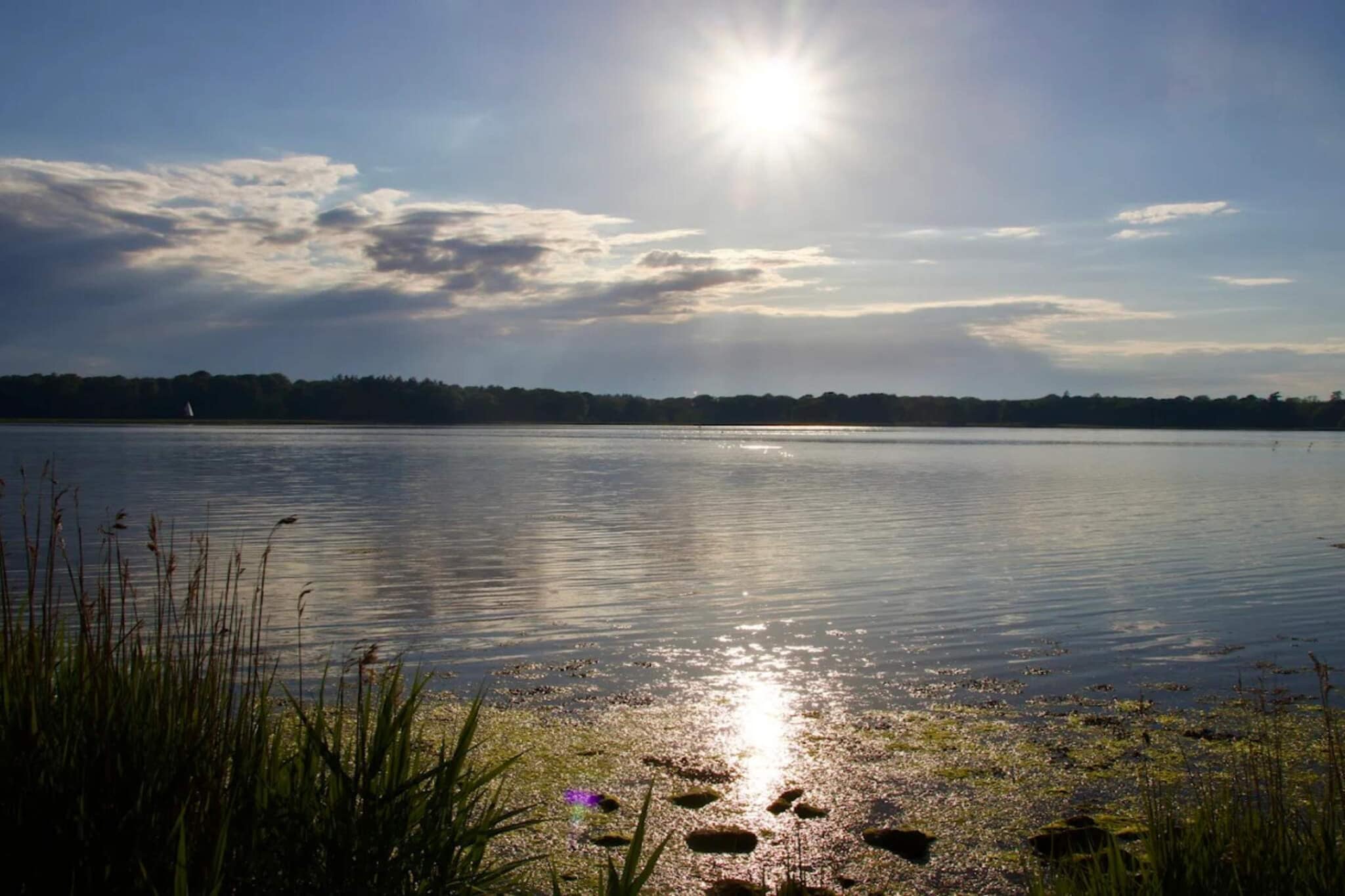 4 Sterne Ferienhaus in Nysted-Wasserblick