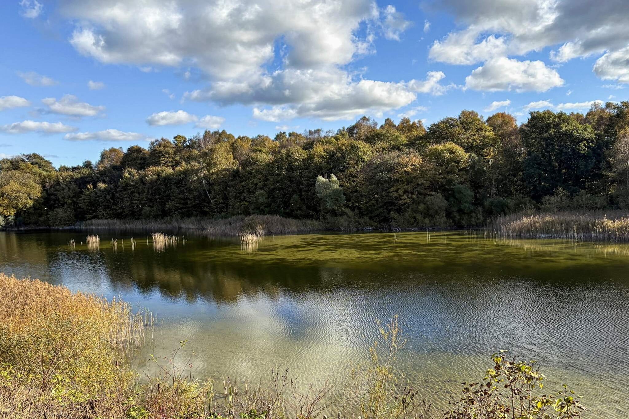 6 person holiday home in Borup