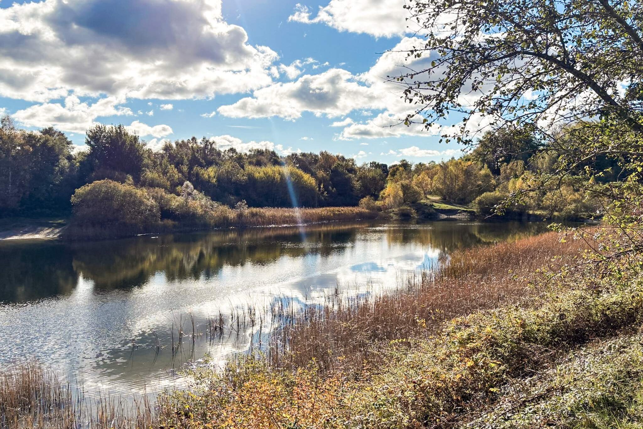 Internet Access DSL, Kitchen(cooker(electric), coffee machine, microwave, dishwasher, freezer(1-59L), tumble dryer, washing machine, high chair), Living/bed room(double folding bed, TV(danish TV channels (DR1 and TV2))), bedroom(2x single bed, cot), bedroom(double bed), bathroom(washbasin, shower, toilet), heating(electric), terrace, garden furniture, air to air heatpump