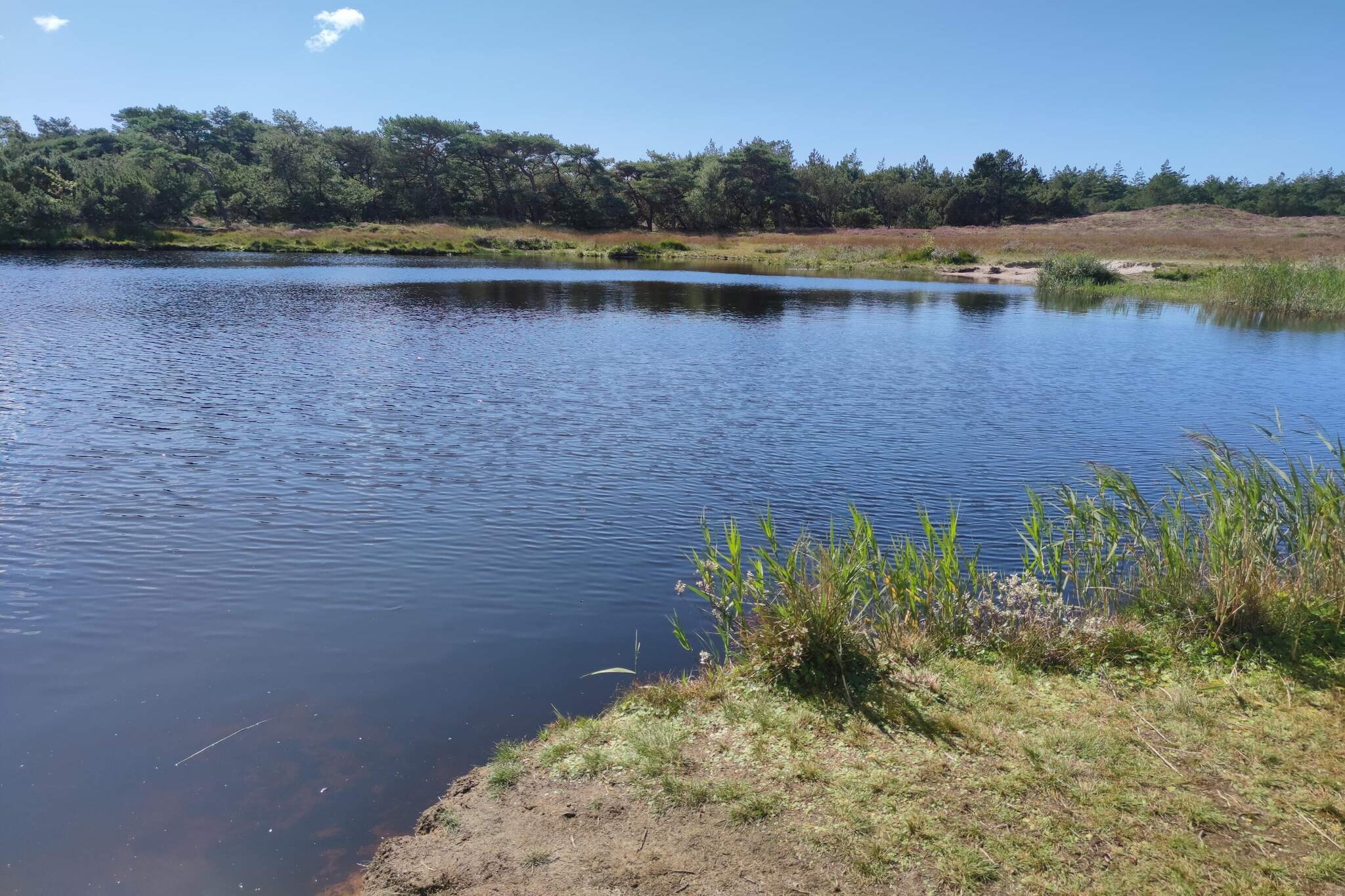 5 star holiday home in Rømø-Water view