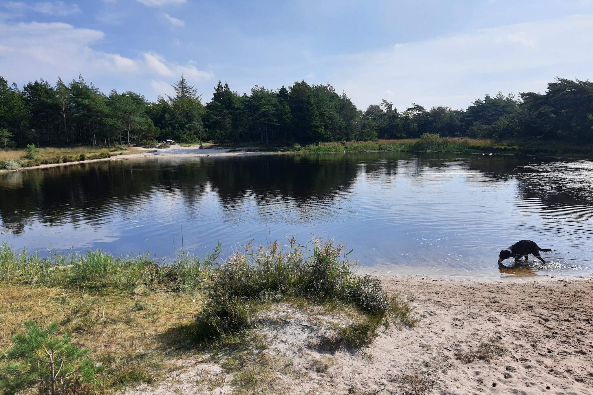 5 star holiday home in Rømø-Water view
