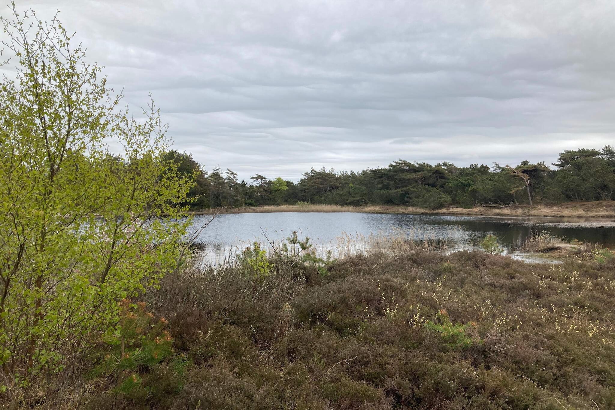 5 star holiday home in Rømø-Water view