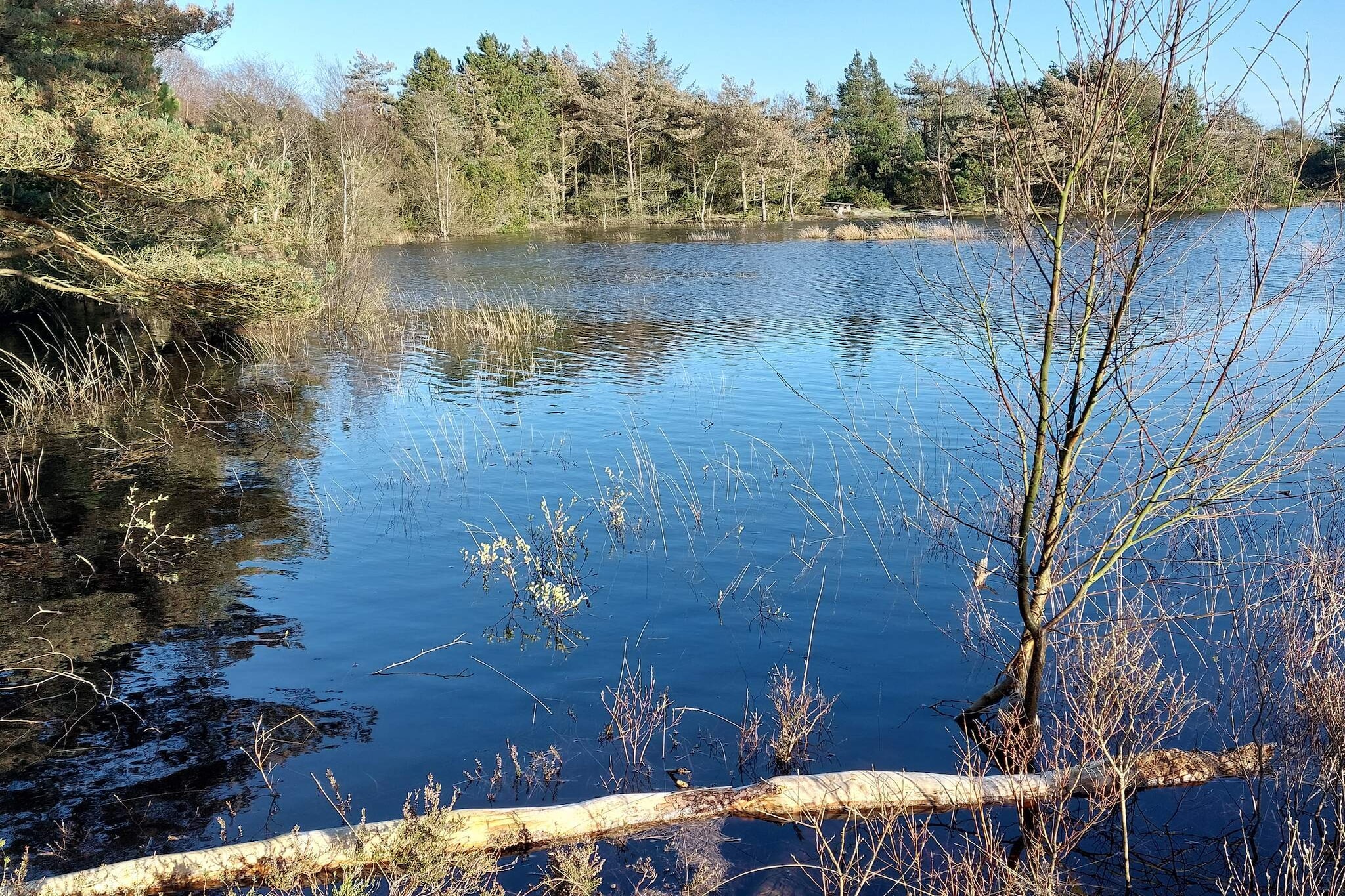 5 star holiday home in Rømø-Water view