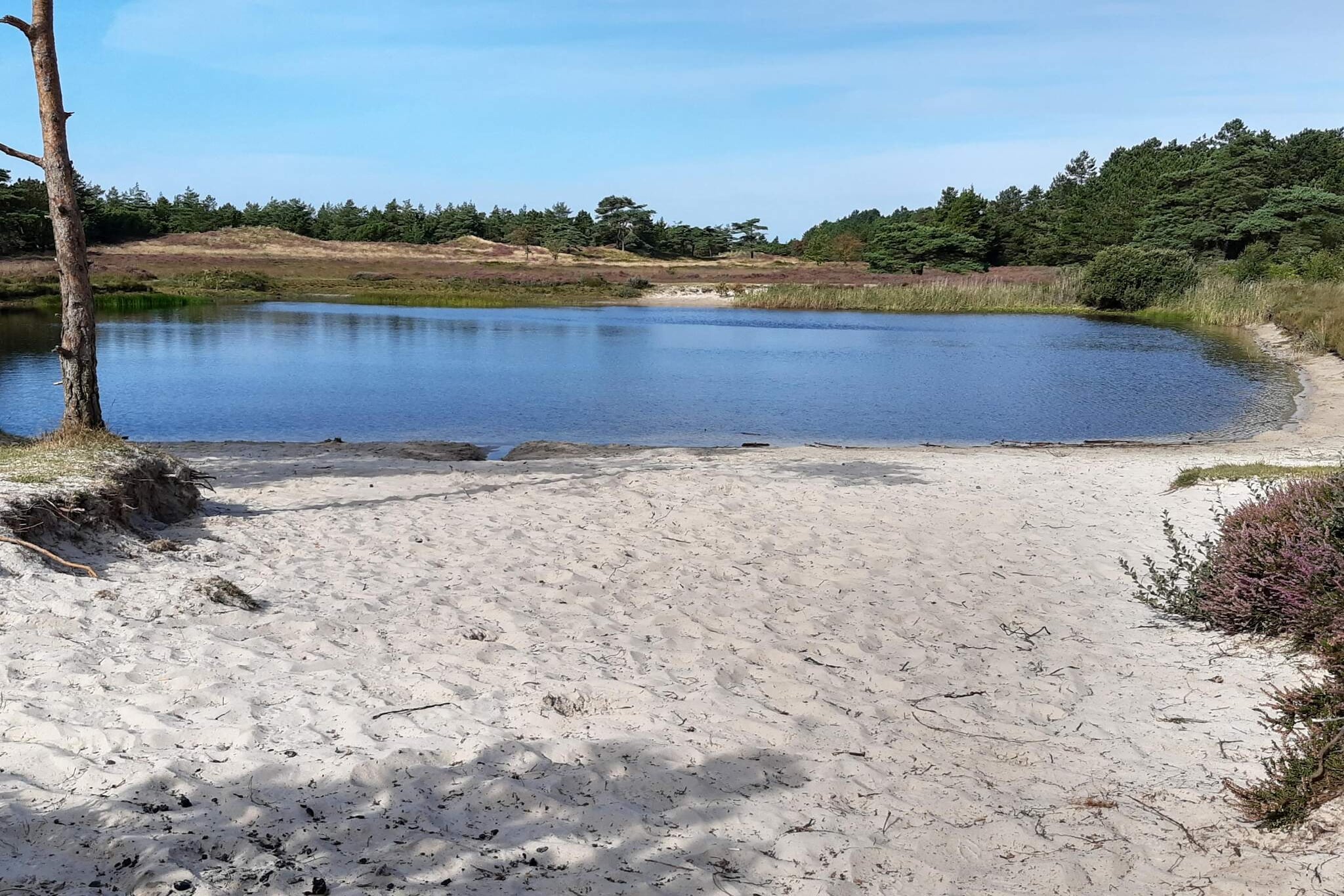 5 star holiday home in Rømø-Water view