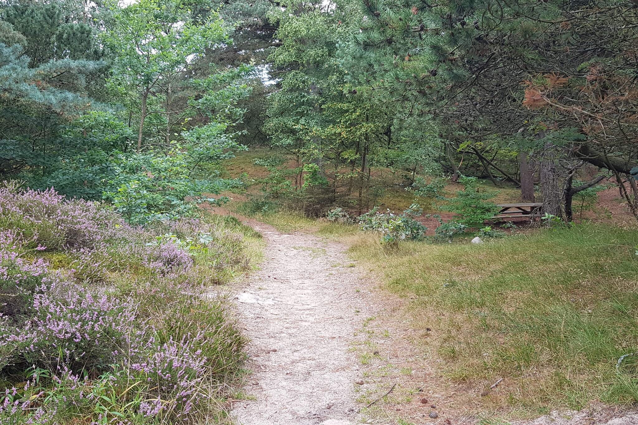5 sterren vakantie huis in Rømø - Buitenlucht