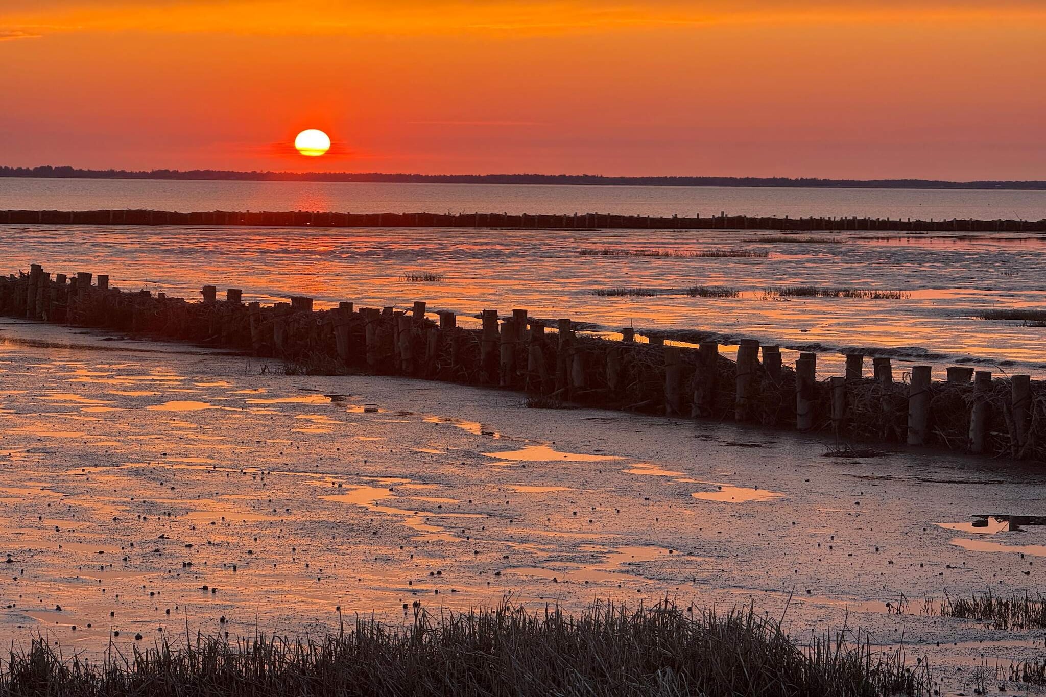5 sterren vakantie huis in Rømø - Niet-getagd