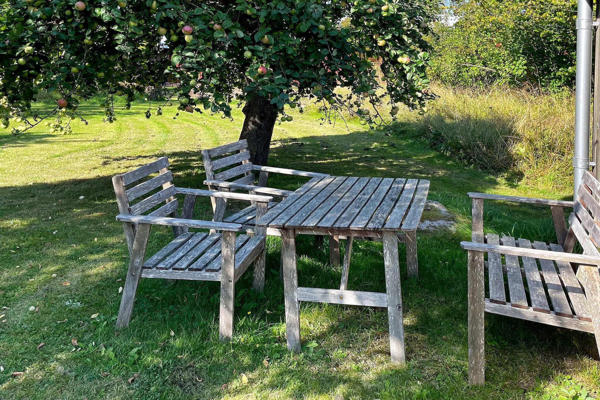 6 Personen vakantie huis in BORGHOLM - Buitenlucht