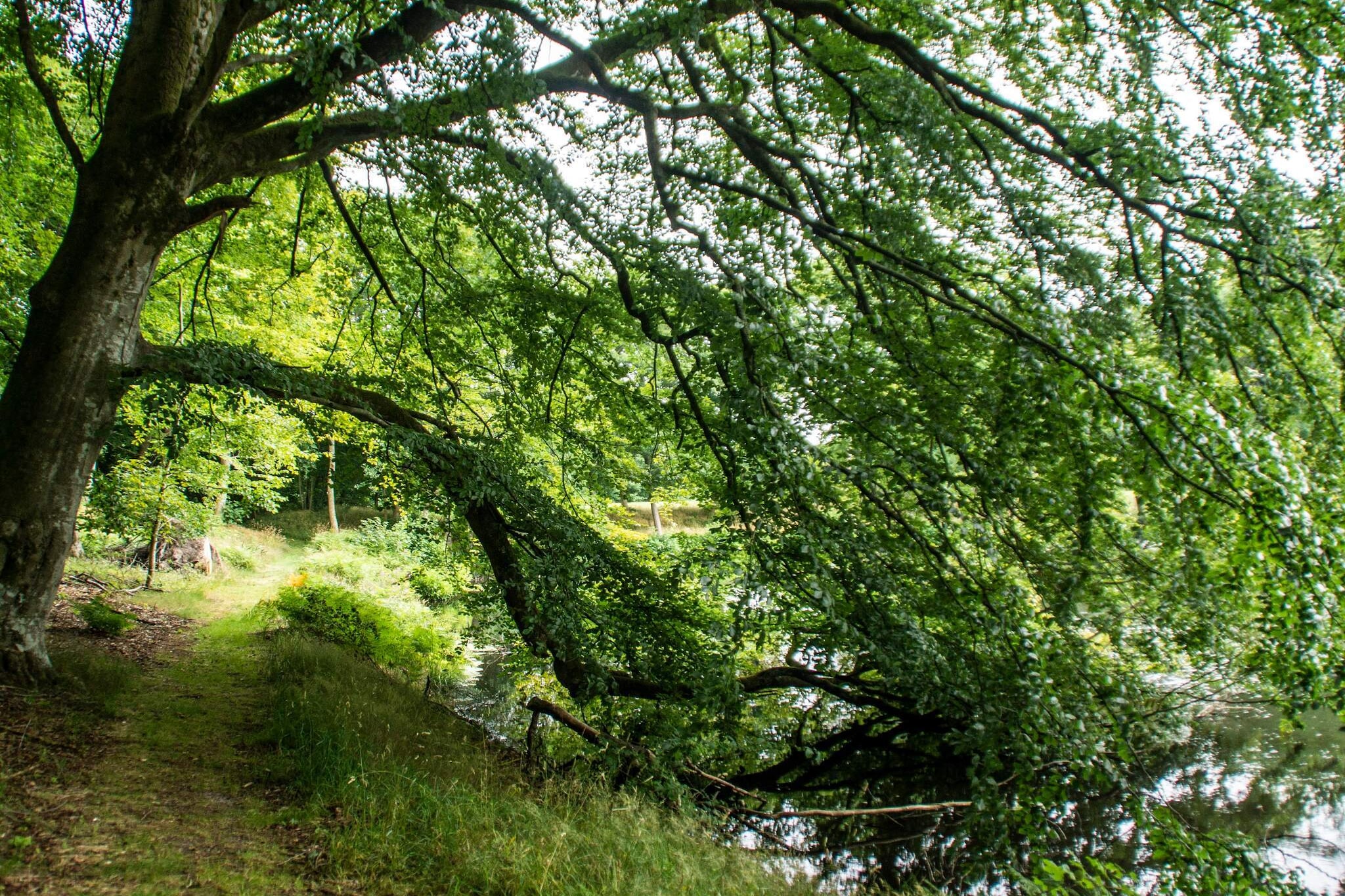 Panoramisch fjordverblijf met spabad-Niet-getagd