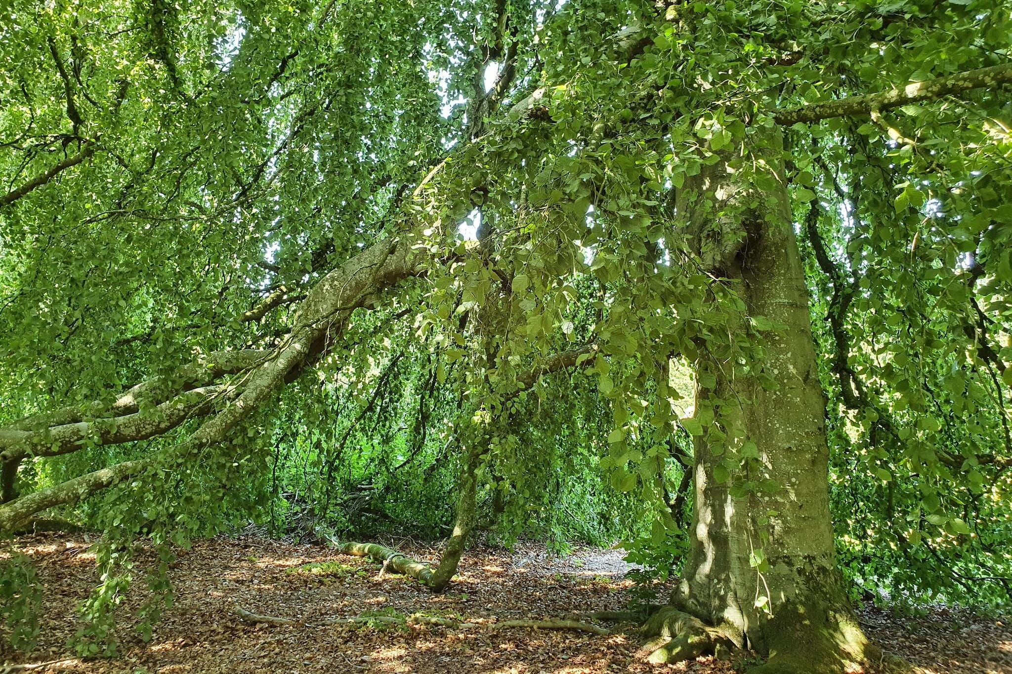 Panoramisch fjordverblijf met spabad-Niet-getagd