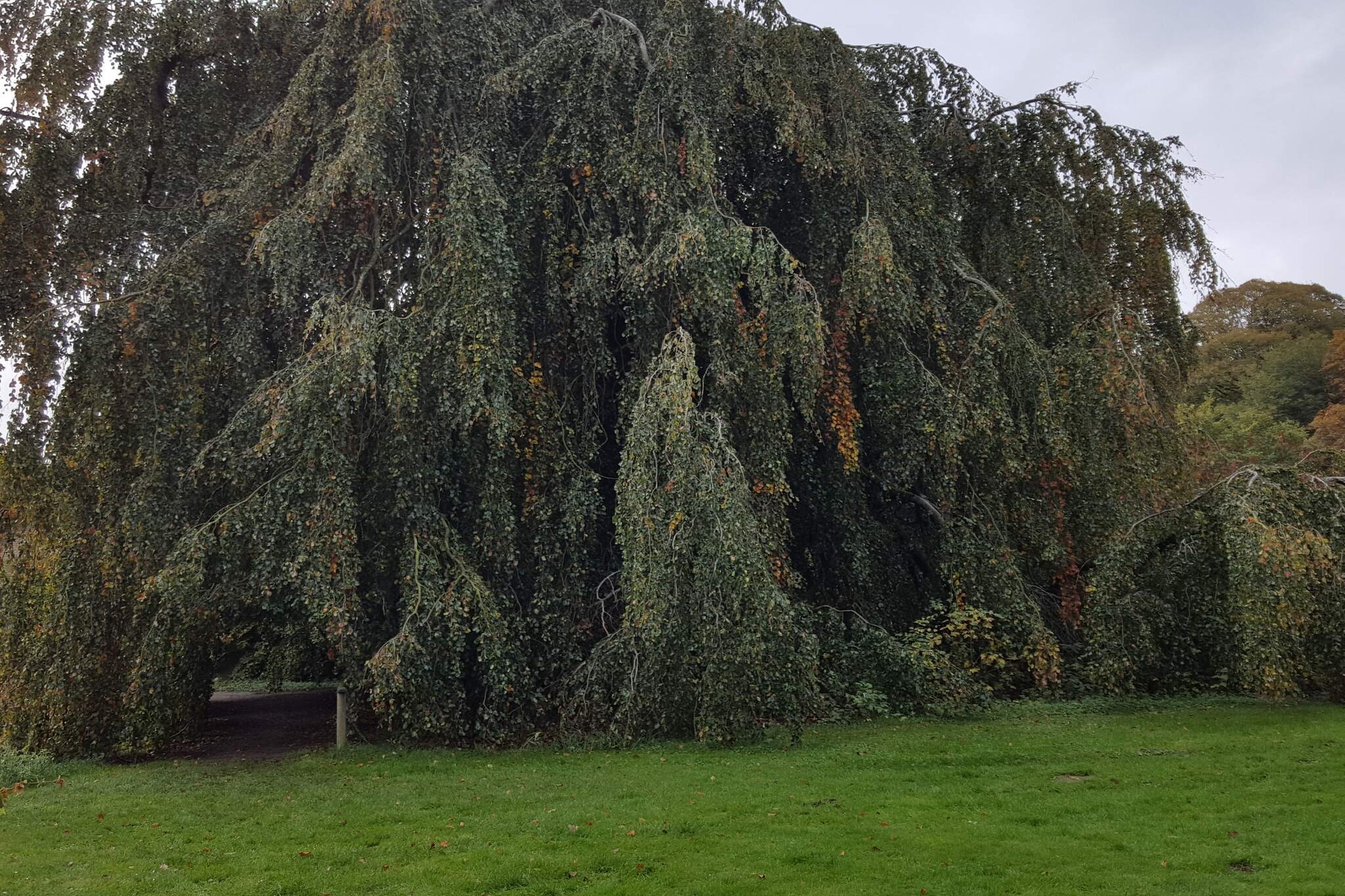 Panoramisch fjordverblijf met spabad-Niet-getagd