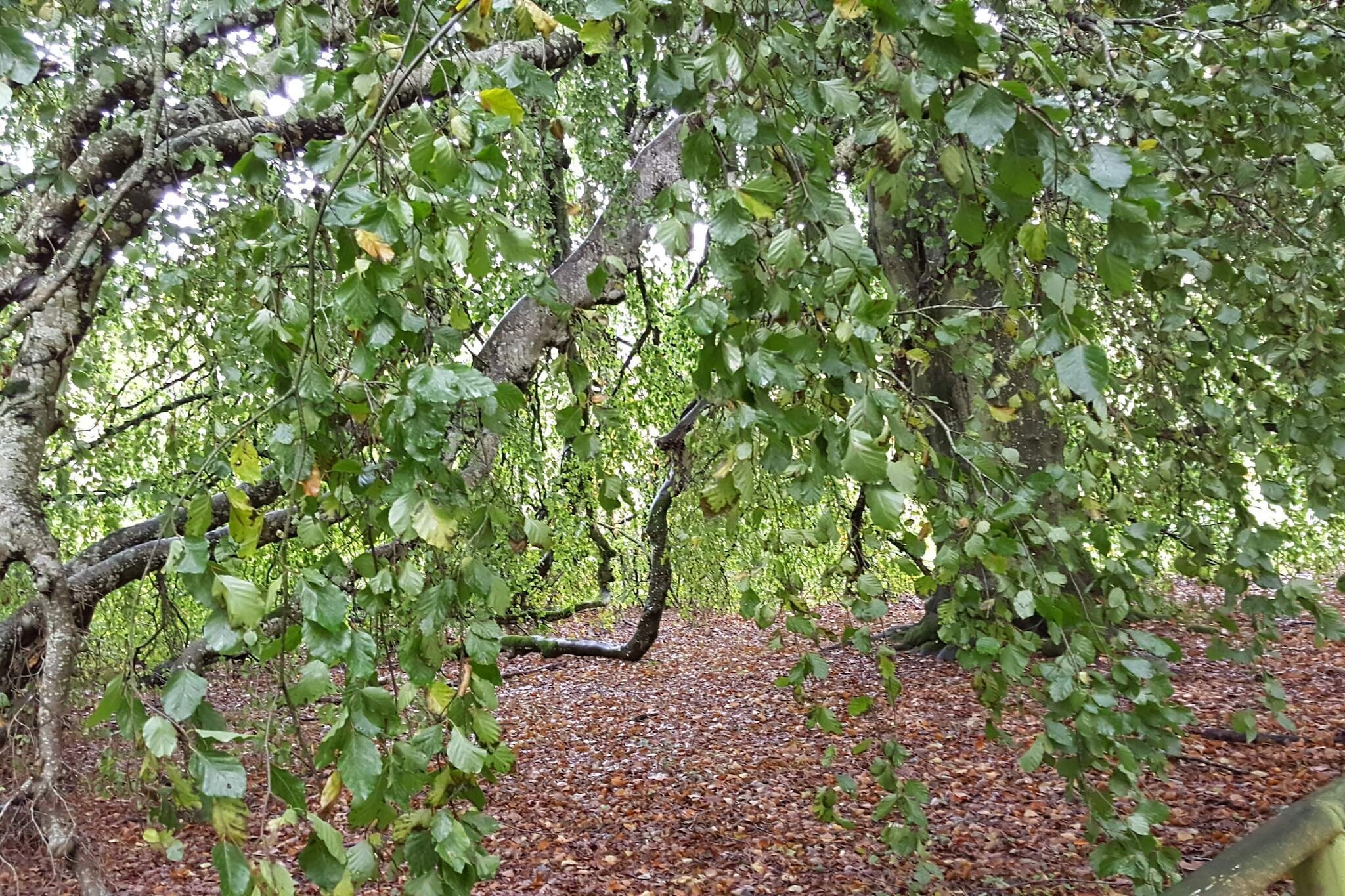 Panoramisch fjordverblijf met spabad-Niet-getagd