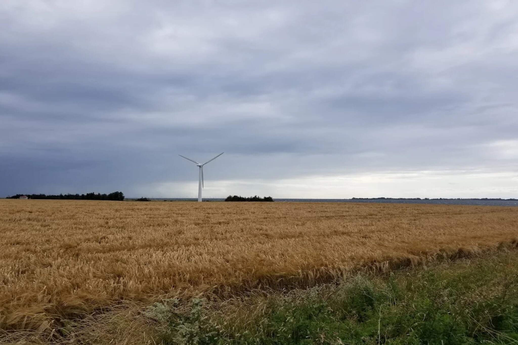 4 Sterne Ferienhaus in Væggerløse-Nicht getaggt