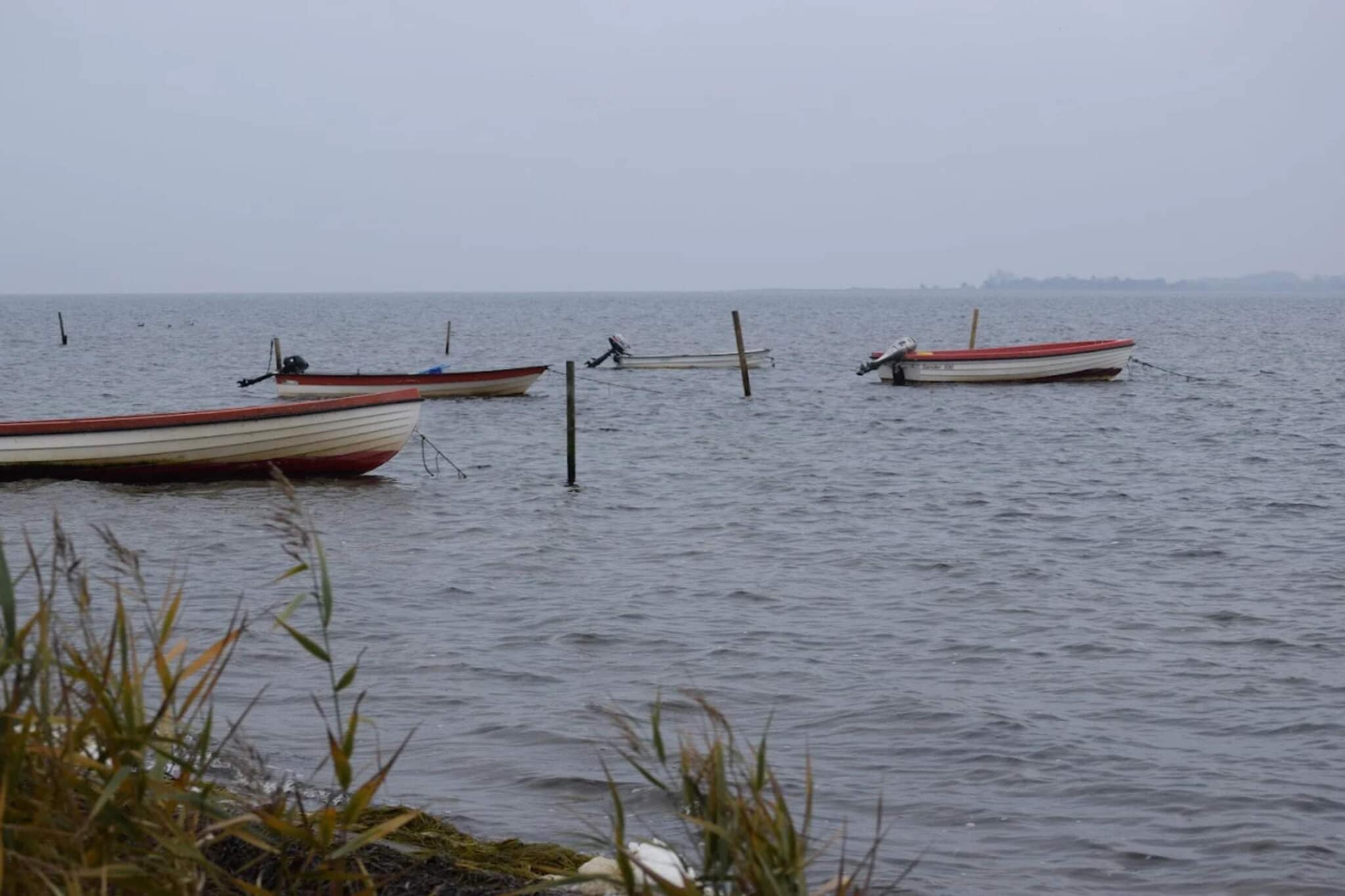4 Sterne Ferienhaus in Væggerløse-Wasserblick