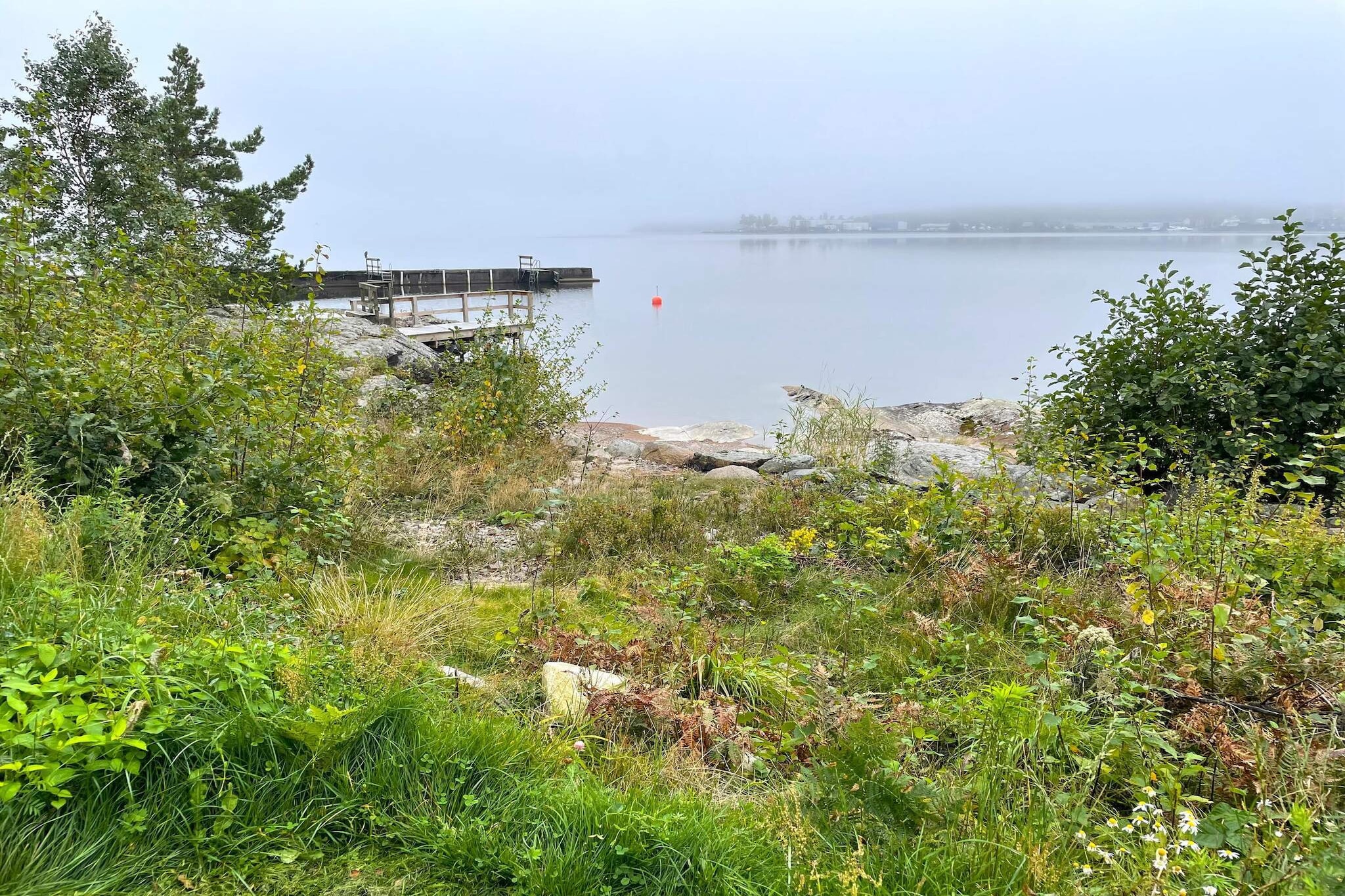Water View