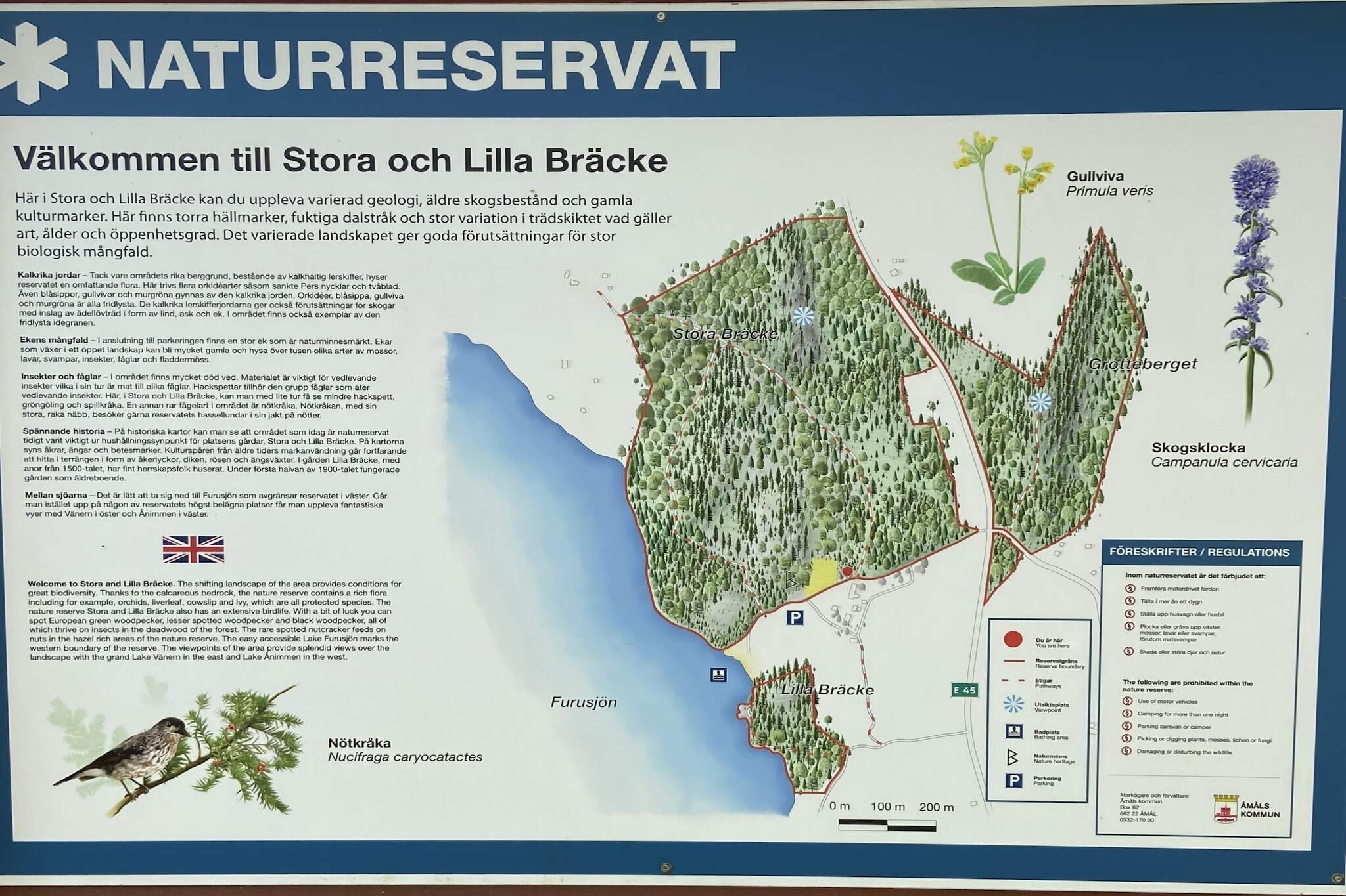 4 Personen vakantie huis in Ånimskog-Buitenlucht