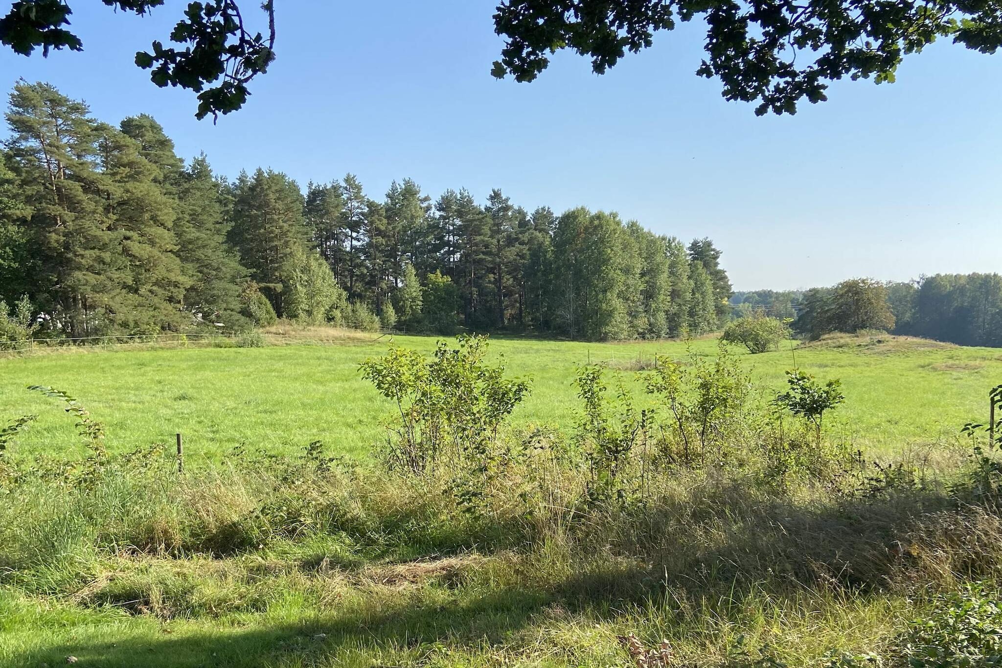 4 Personen vakantie huis in Ånimskog - Buitenlucht