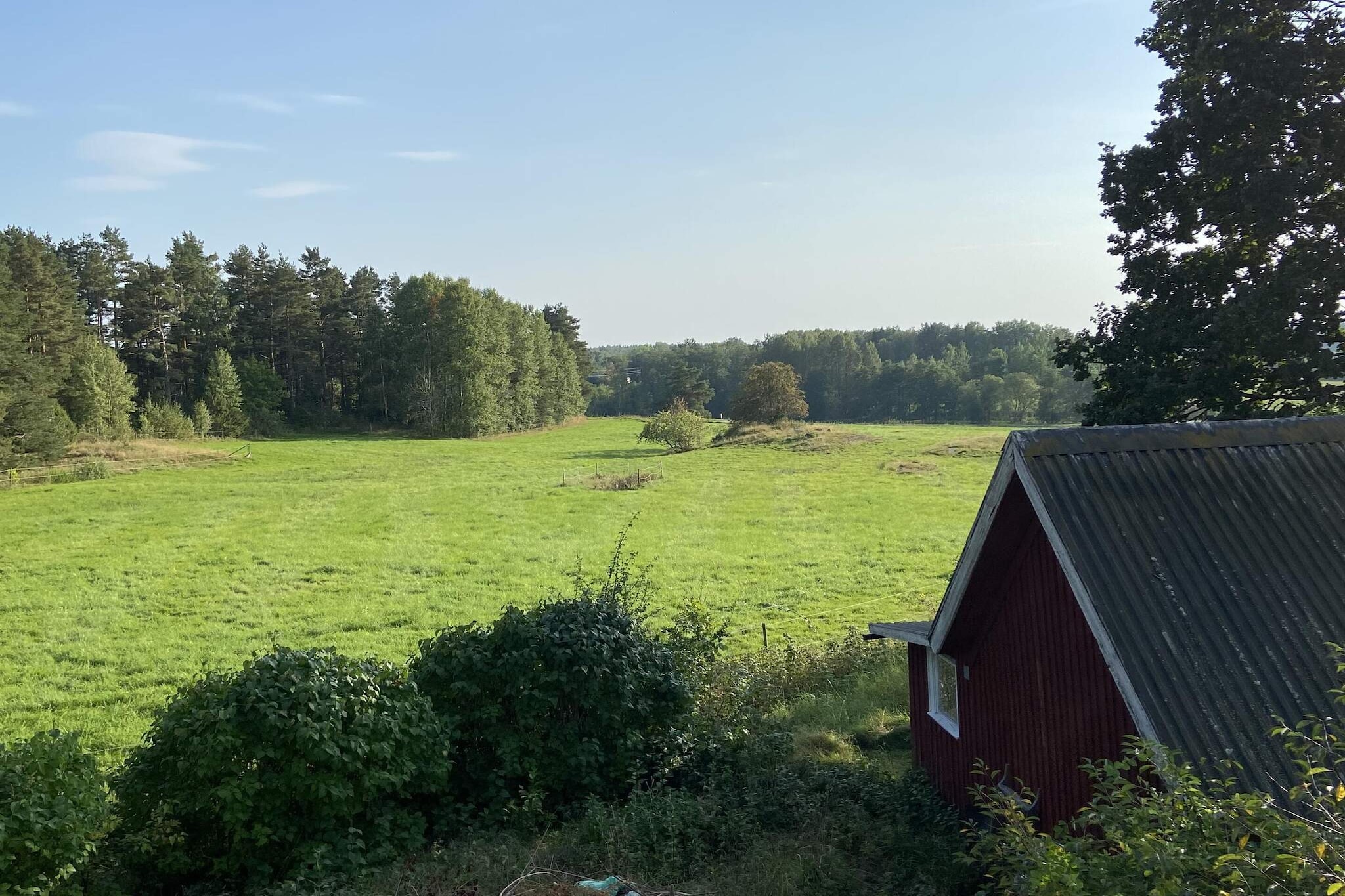 4 Personen vakantie huis in Ånimskog - Buitenlucht