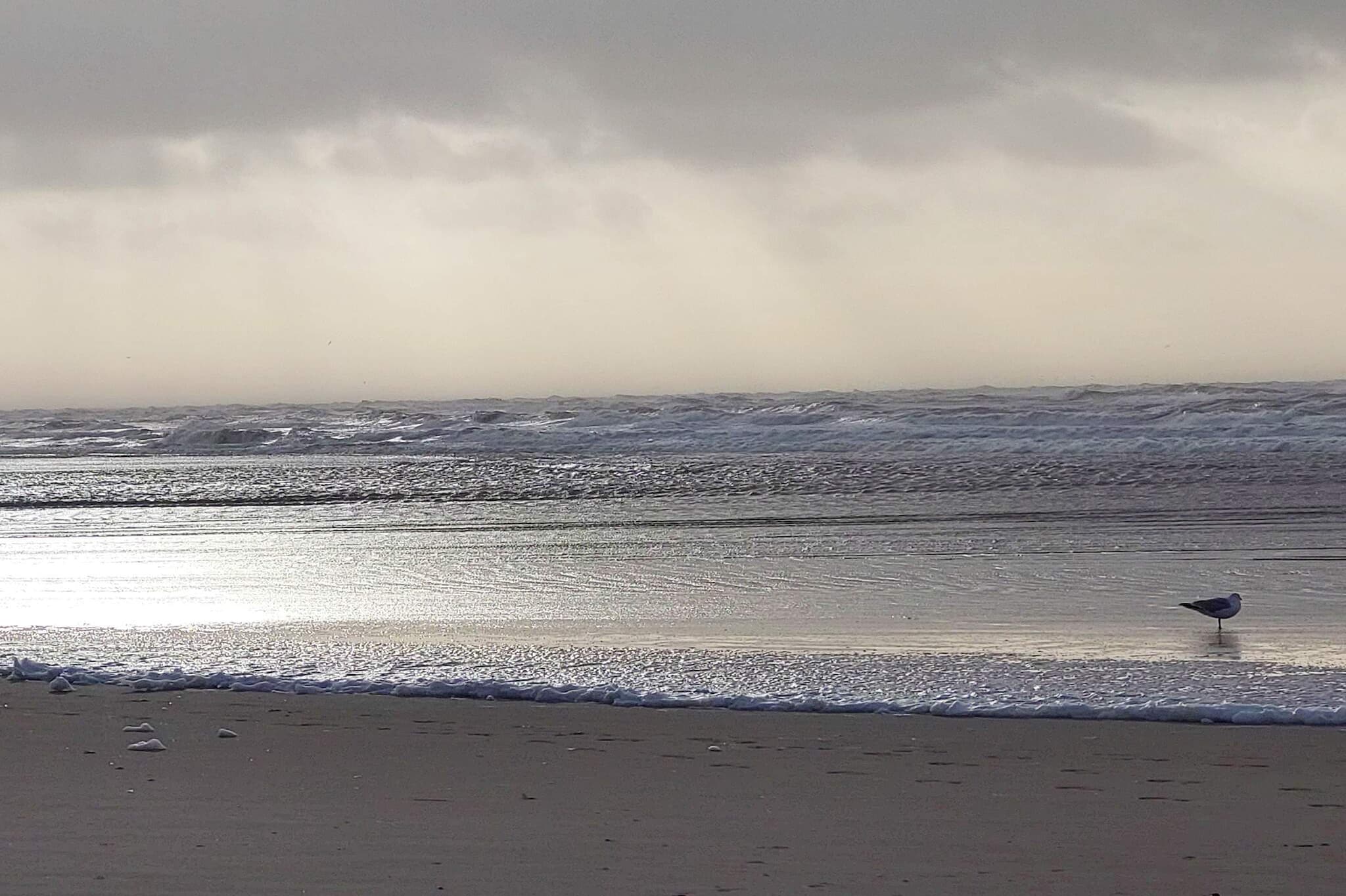 5 sterren vakantie huis in Vejers Strand-Waterzicht