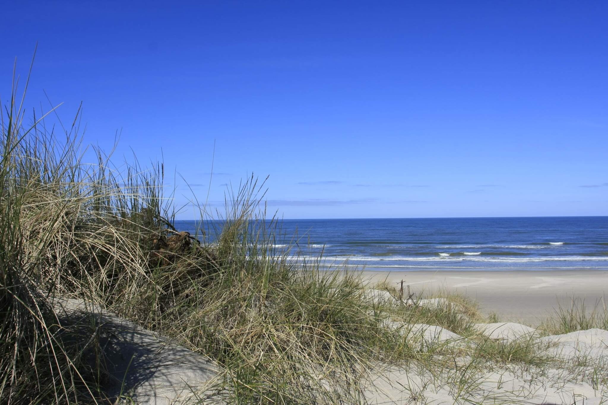 5 etoiles maison de vacances a Vejers Strand - Vue sur l'eau